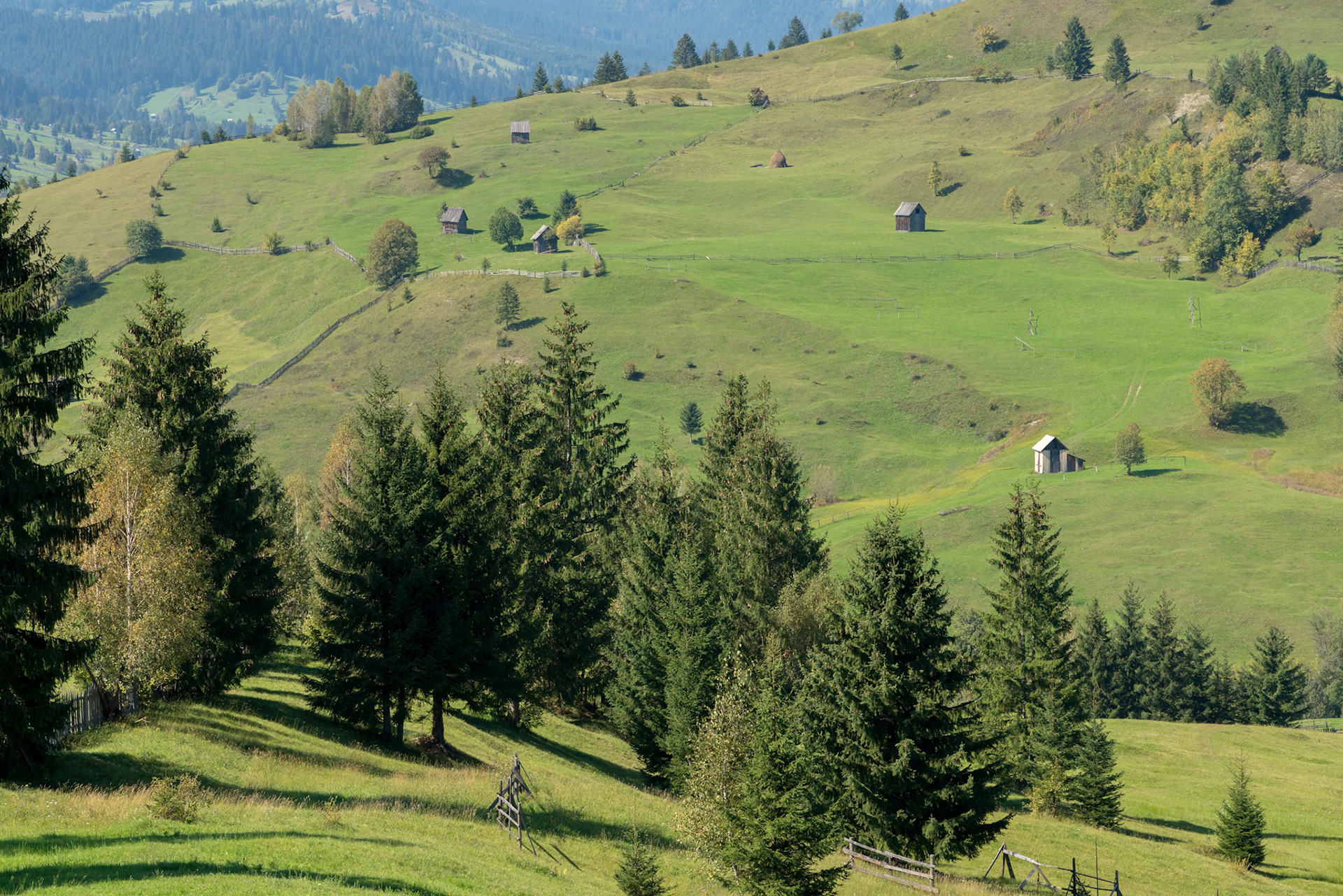 CAMPULUNG MOLDOVENESC, TRANSYLVANIA/ROMANIA - SEPTEMBER 18 : Farmland near  Campulung Moldovenesc Transylvania Romania on September 18, 2018