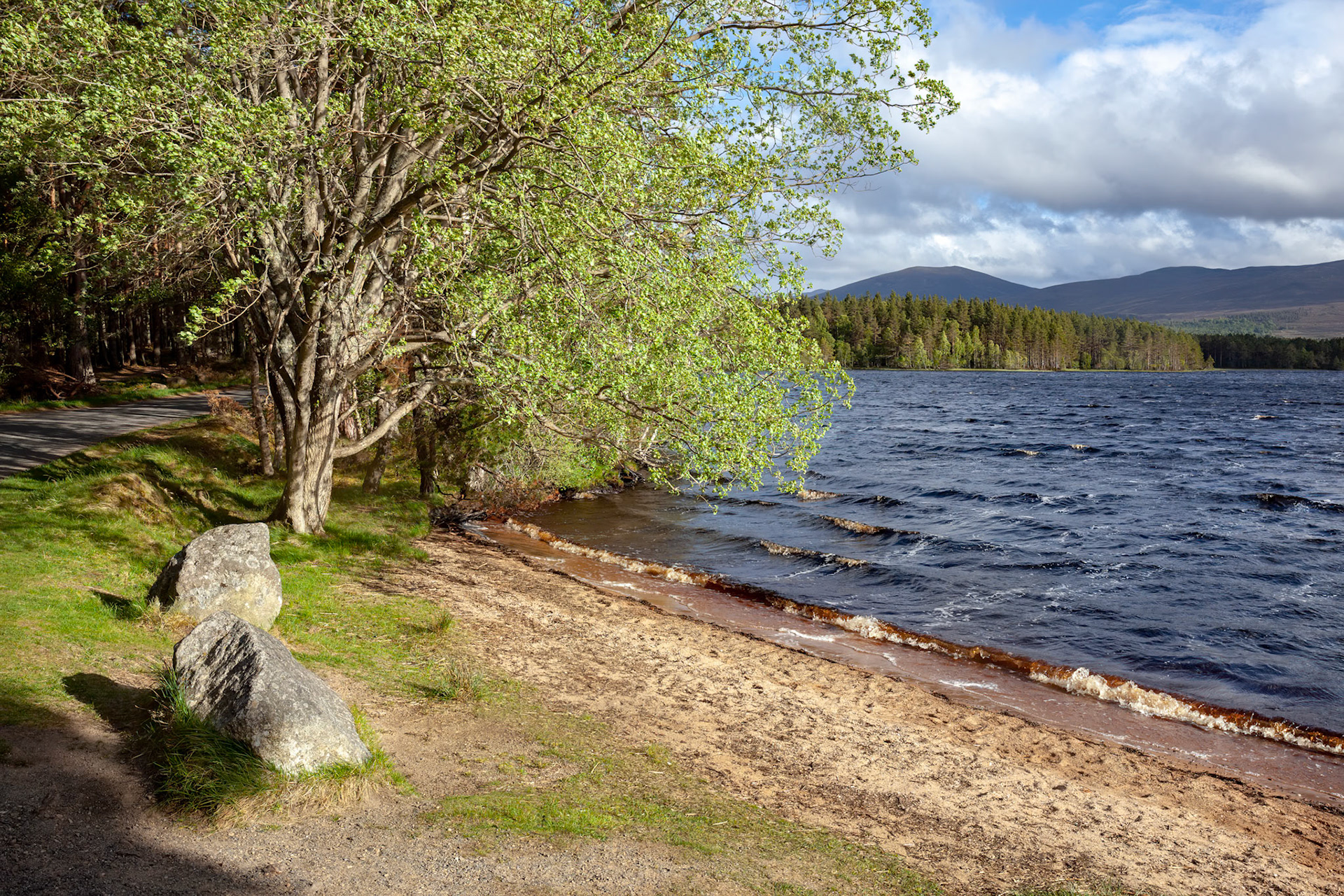 Choppy water on Loch Garten in Scotland