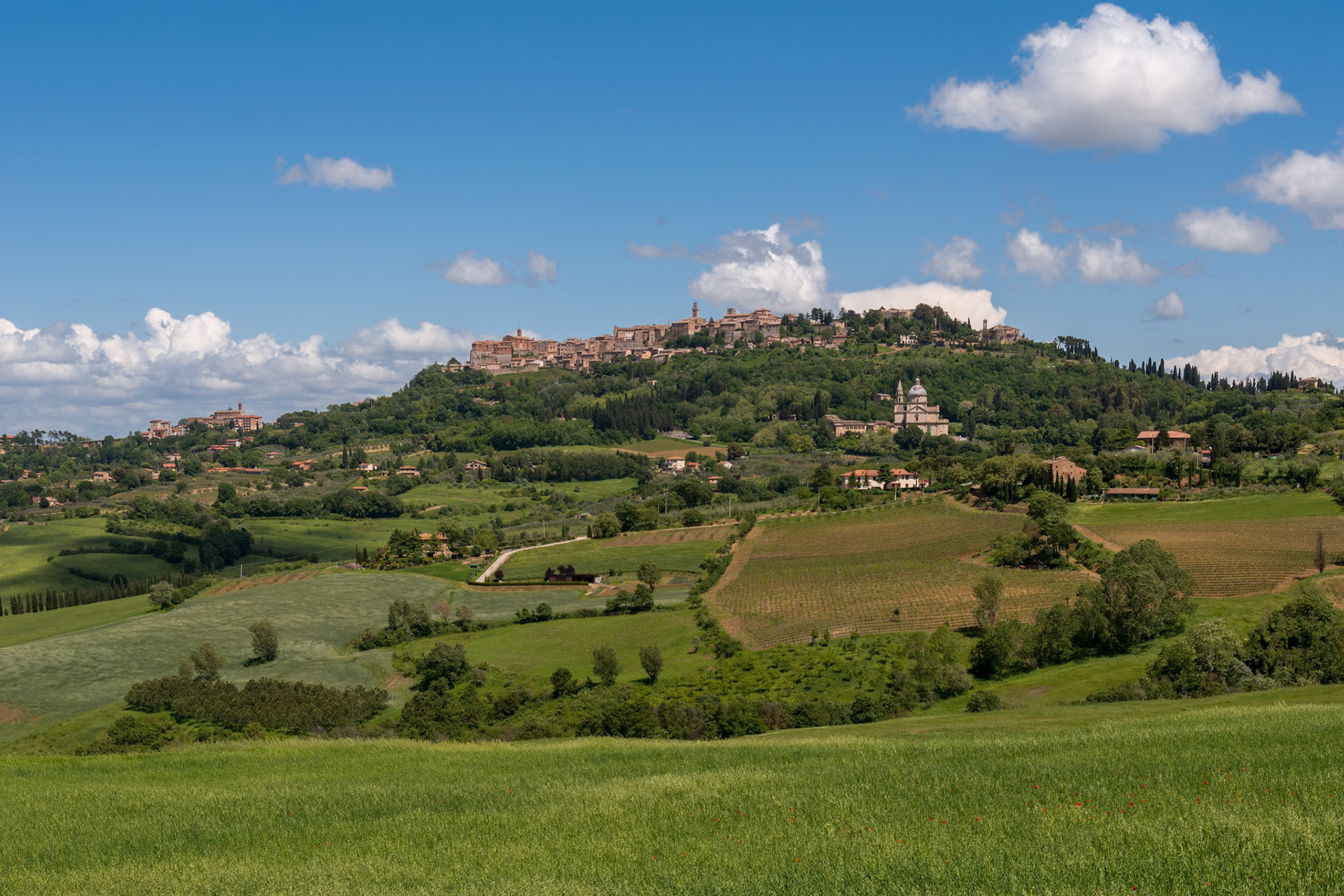 View of San Biagio Church and Montepulciano