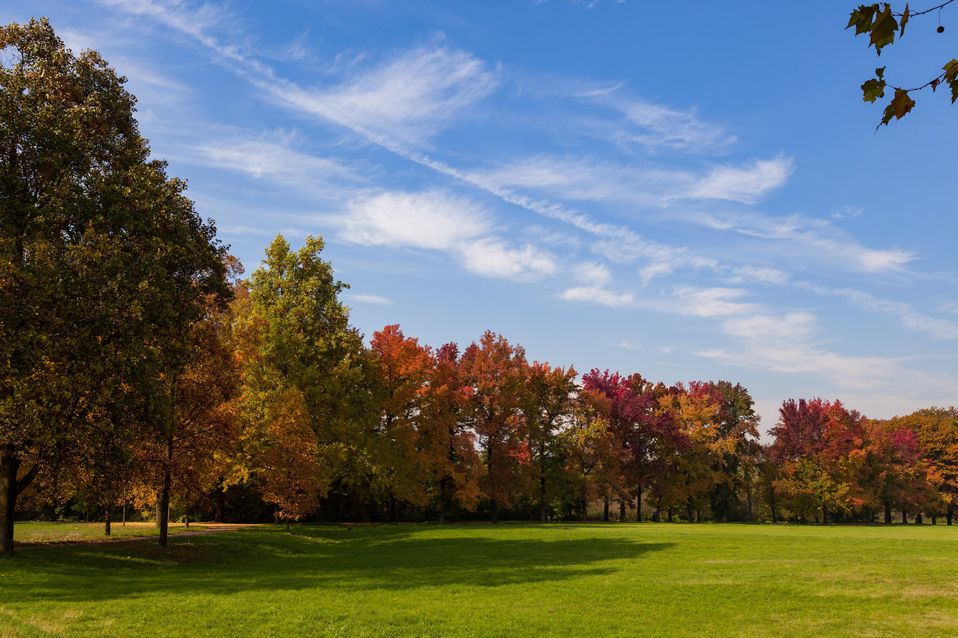 Autumn tints in Parco di Monza Italy