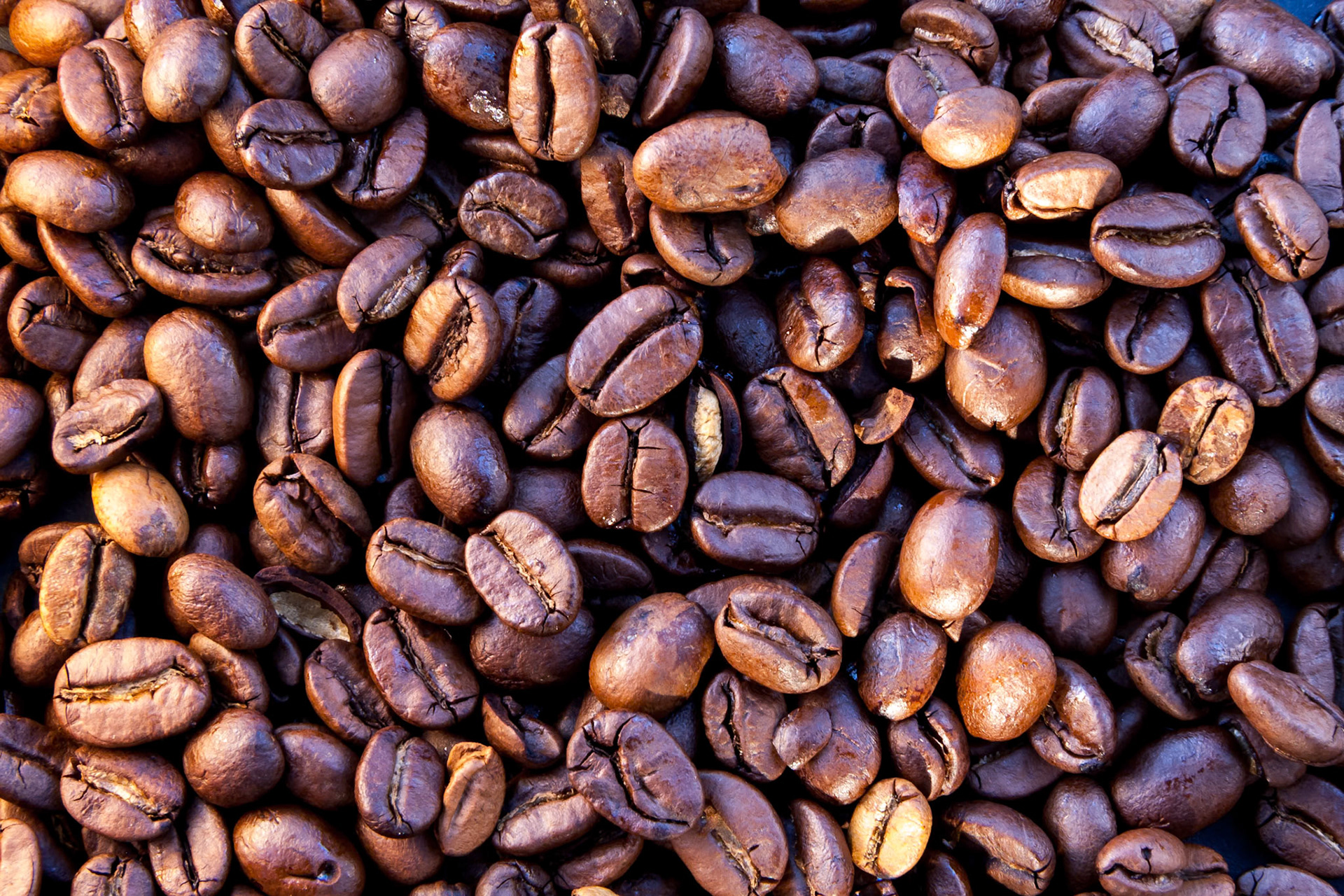 Close up of some coffee beans