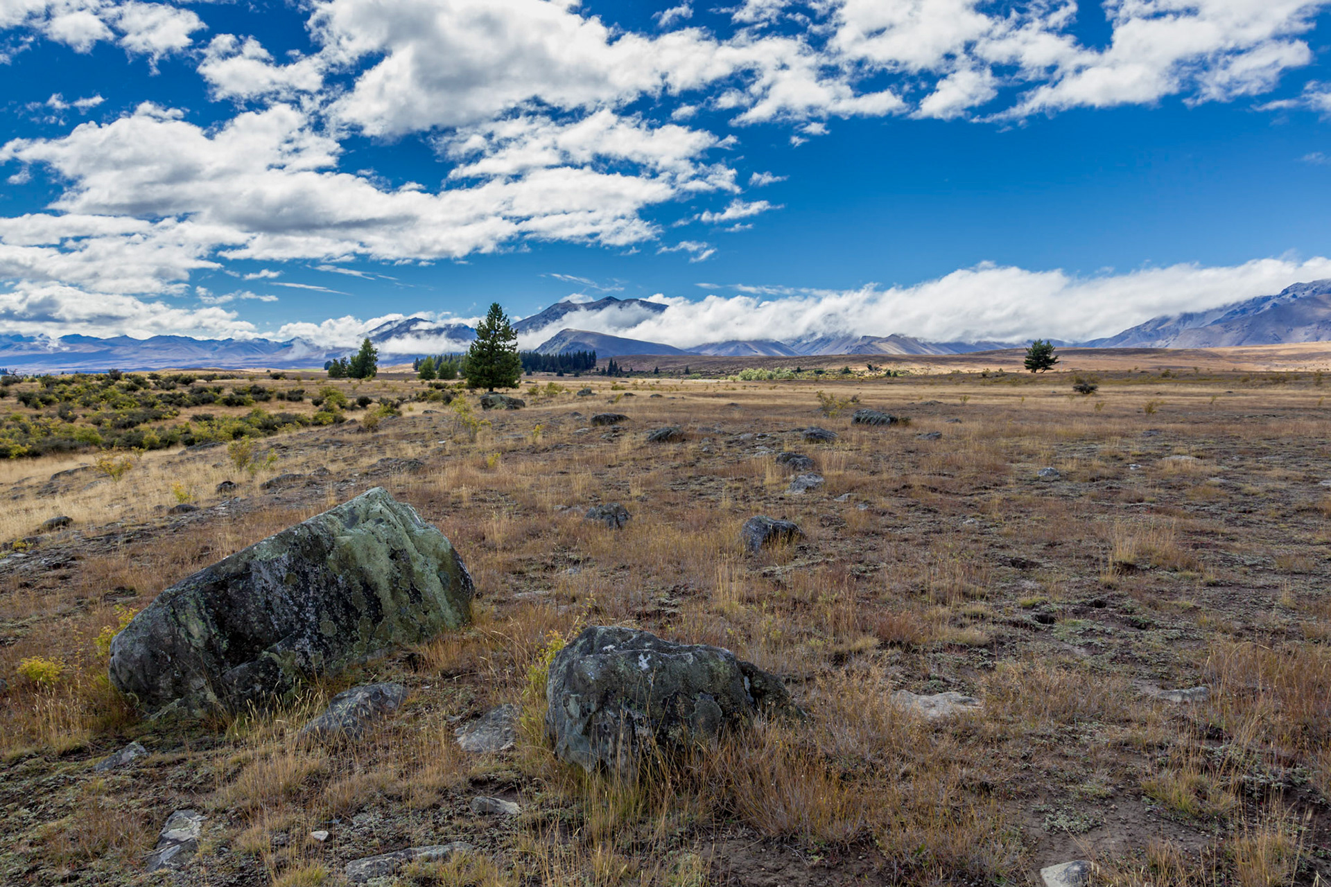 Land alongside Lake Tekapo