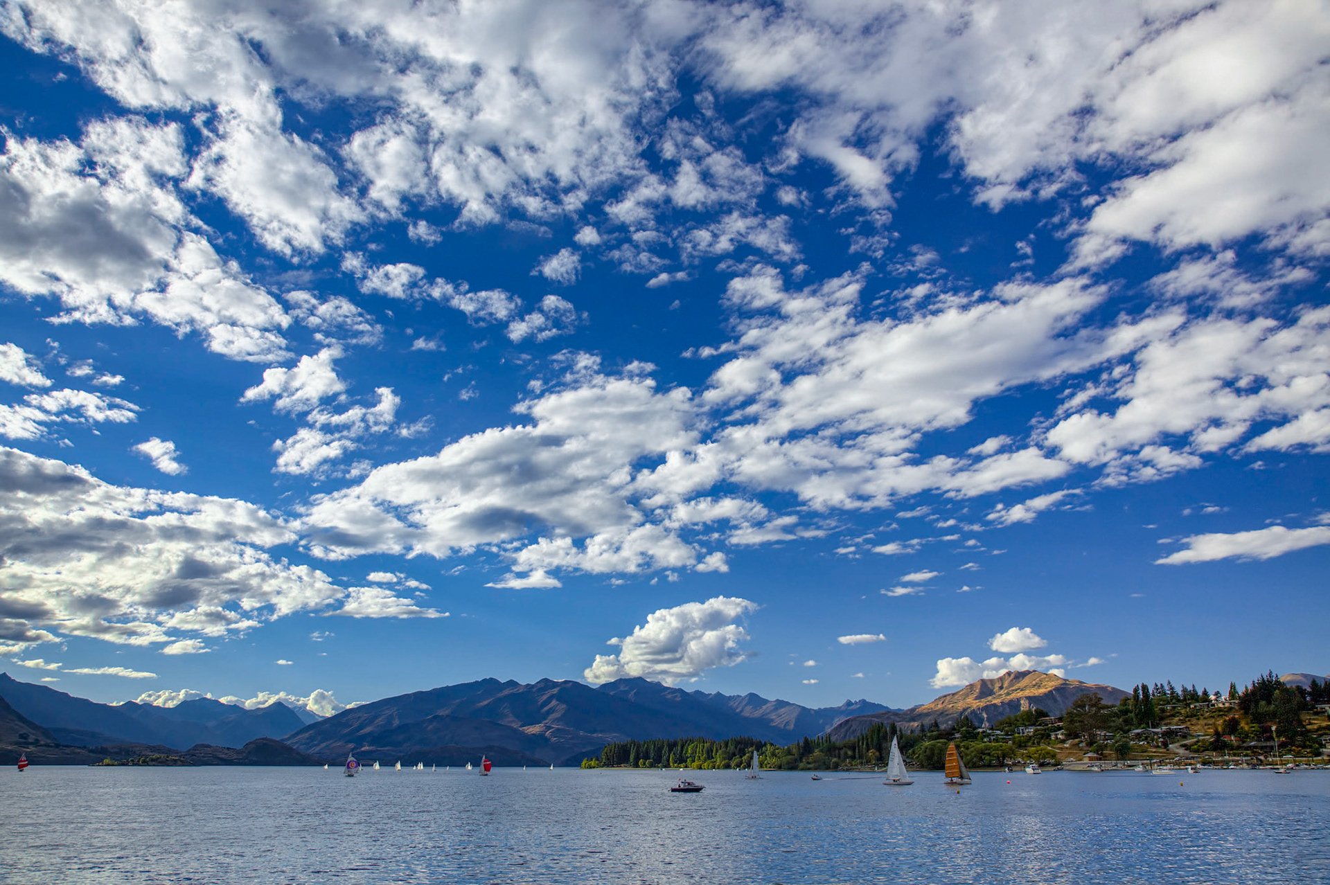 Yacht Race on Lake Wanaka