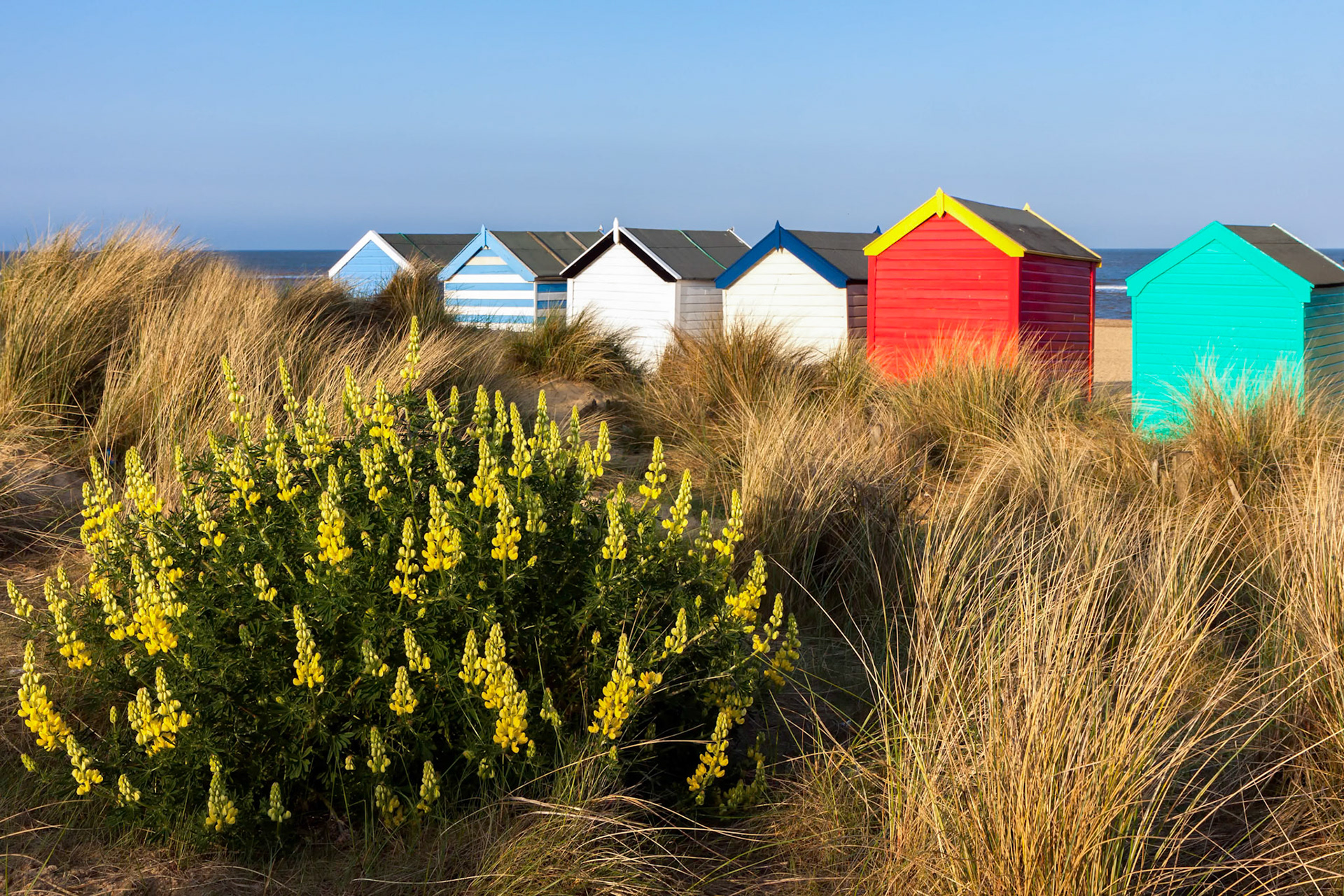 Colourful Beach Huts on Southwold Beach