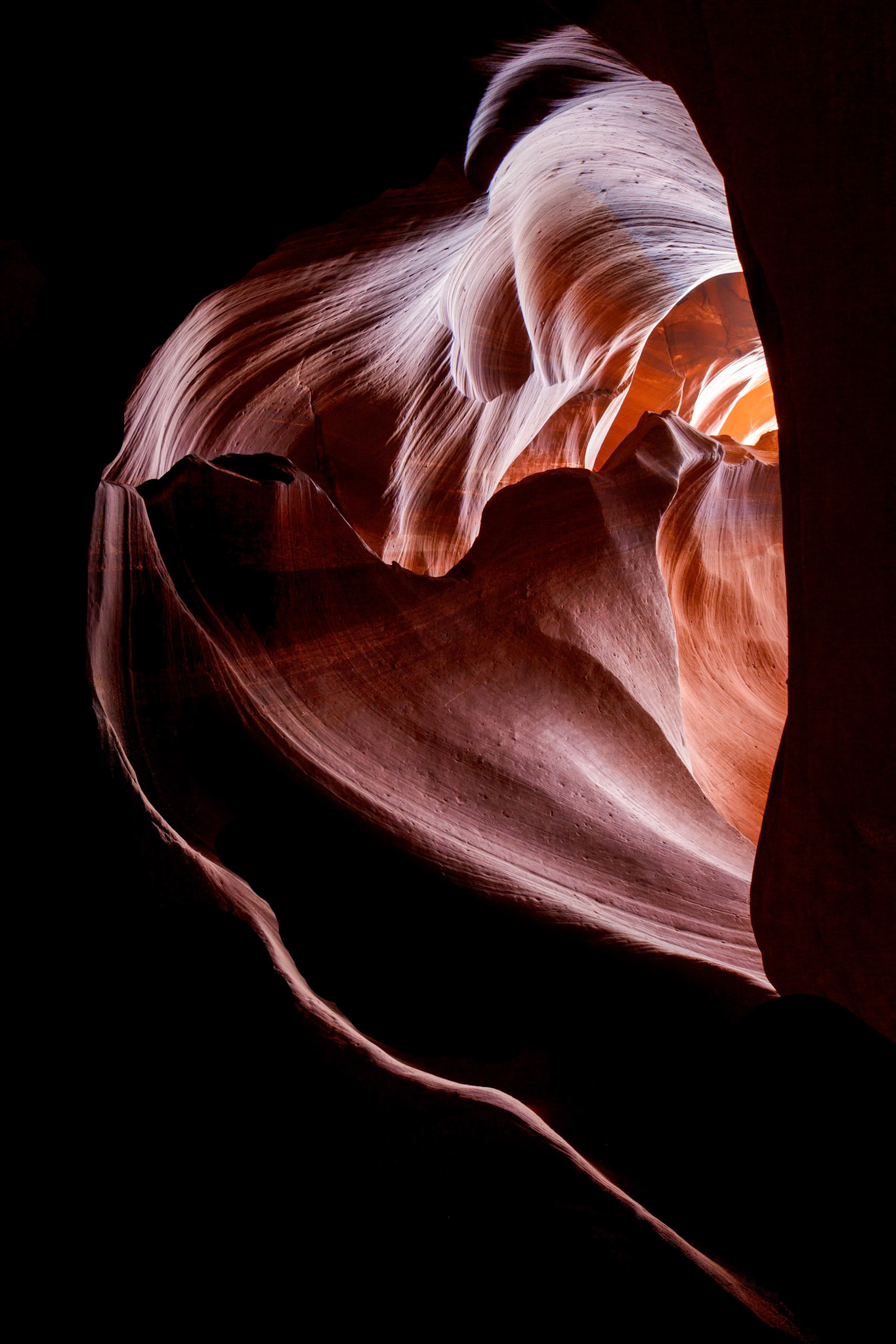 Leaf Shaped Tunnel in Antelope Canyon
