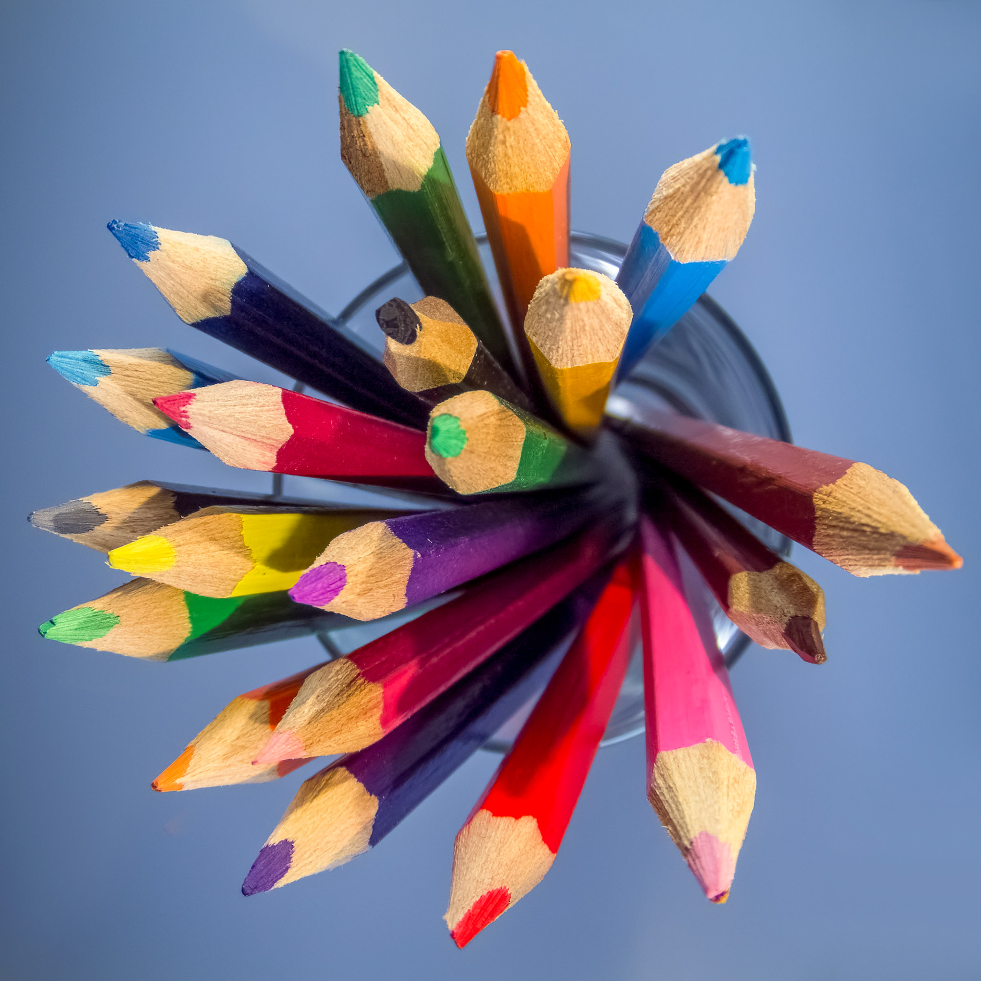 A group of coloured pencils in a glass tumbler