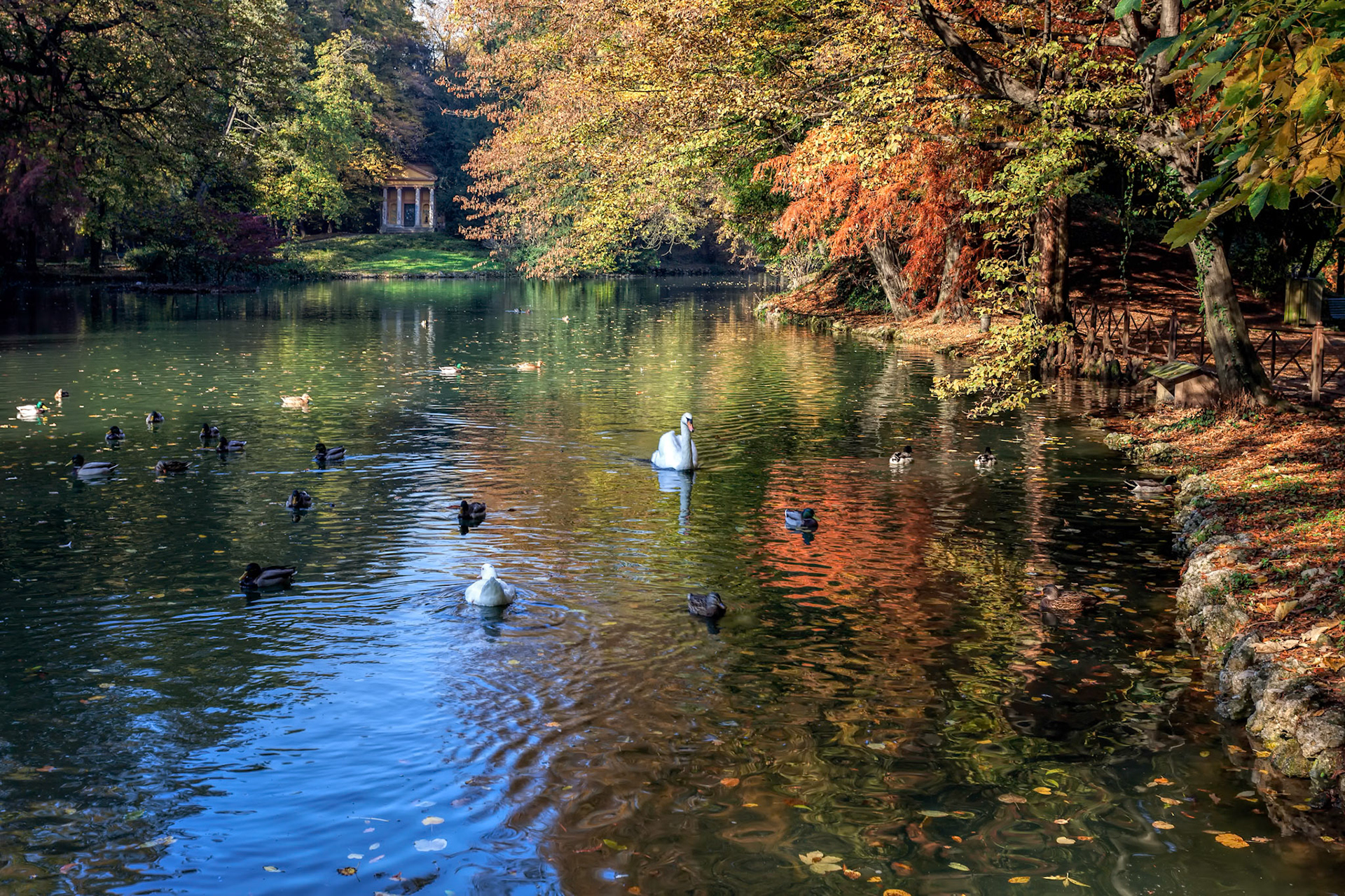 Autumn Scene at the Lake in Parco di Monza