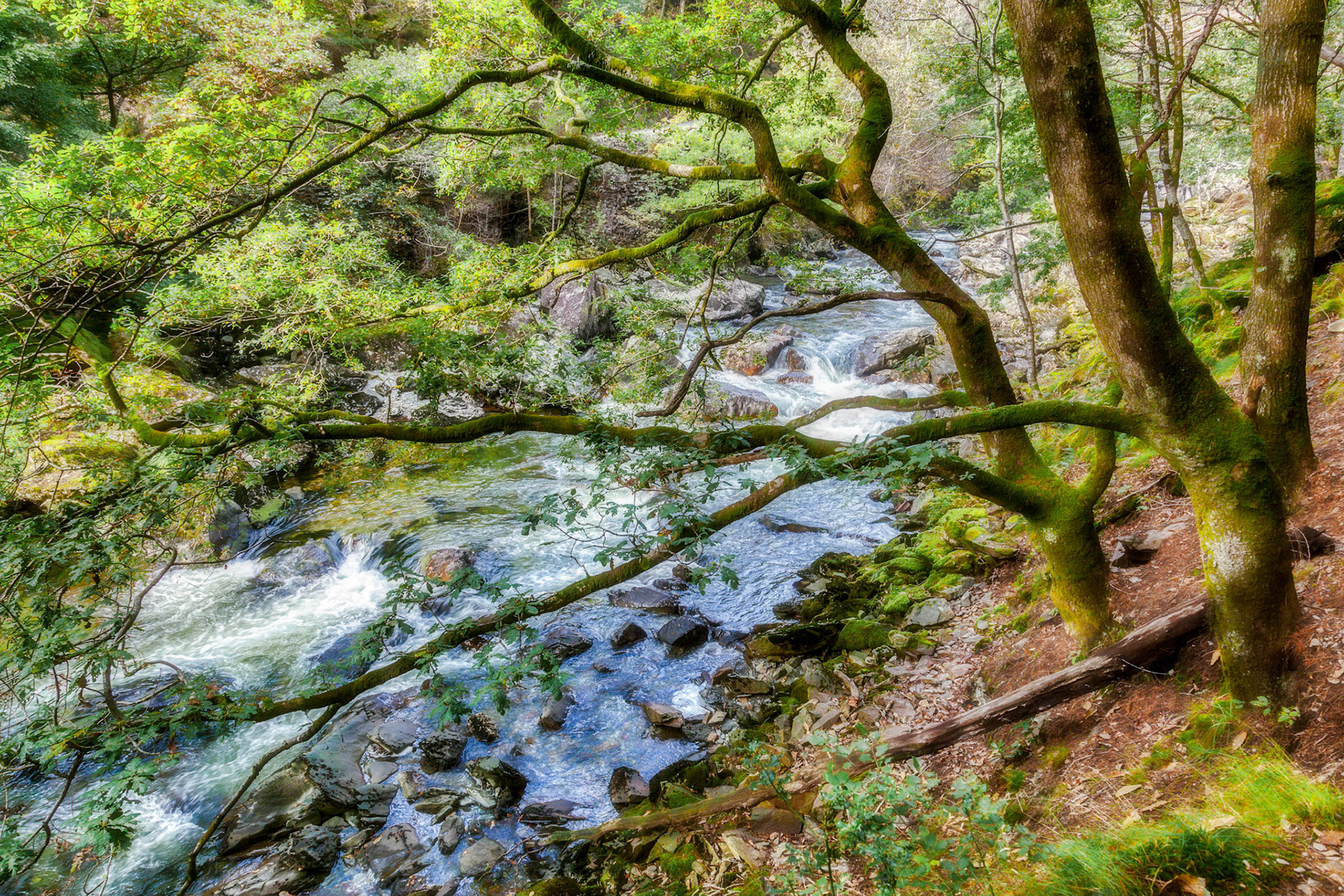 View along the Glaslyn River in Autumn