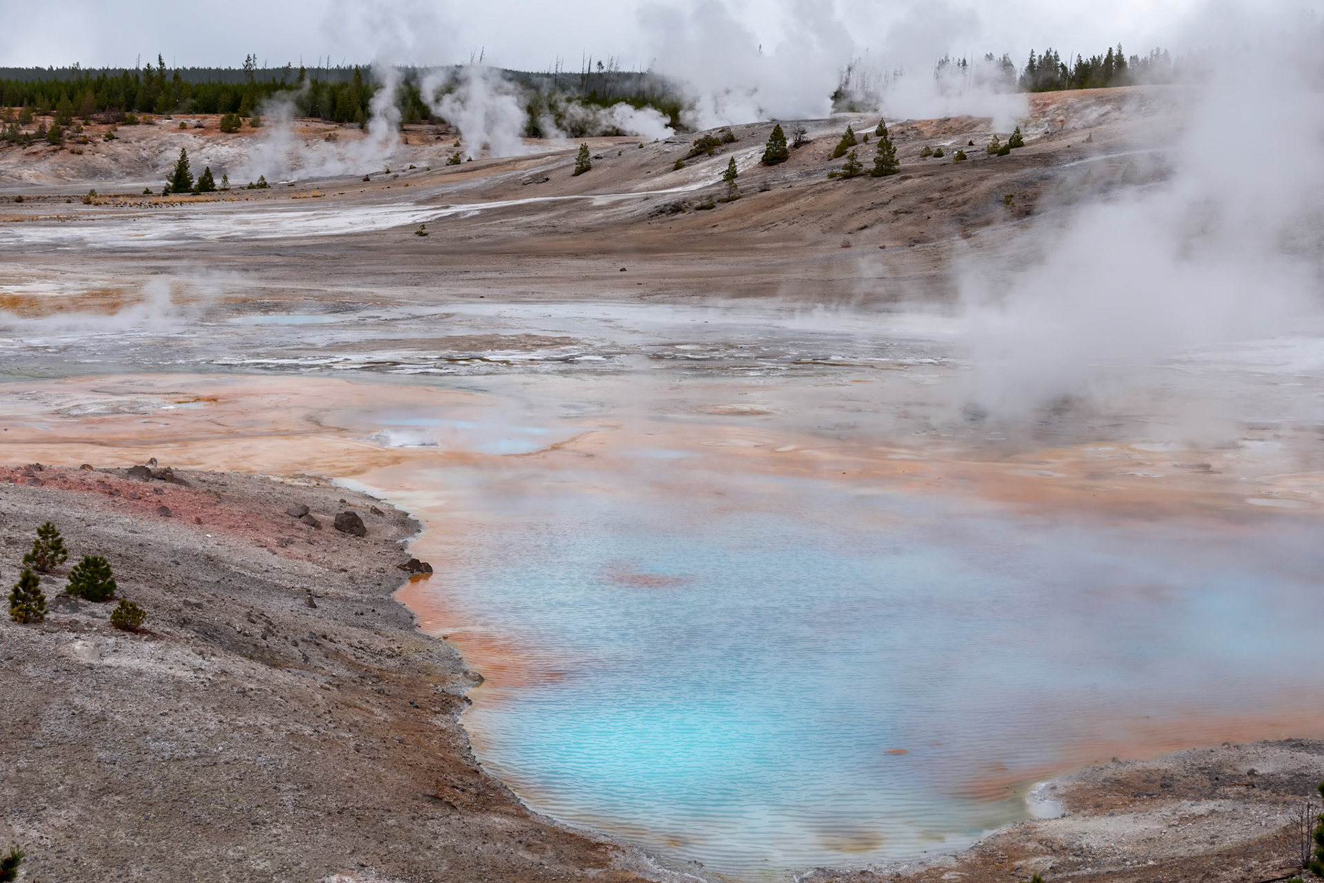 Norris Geyser Basin in Yellowstone National Park