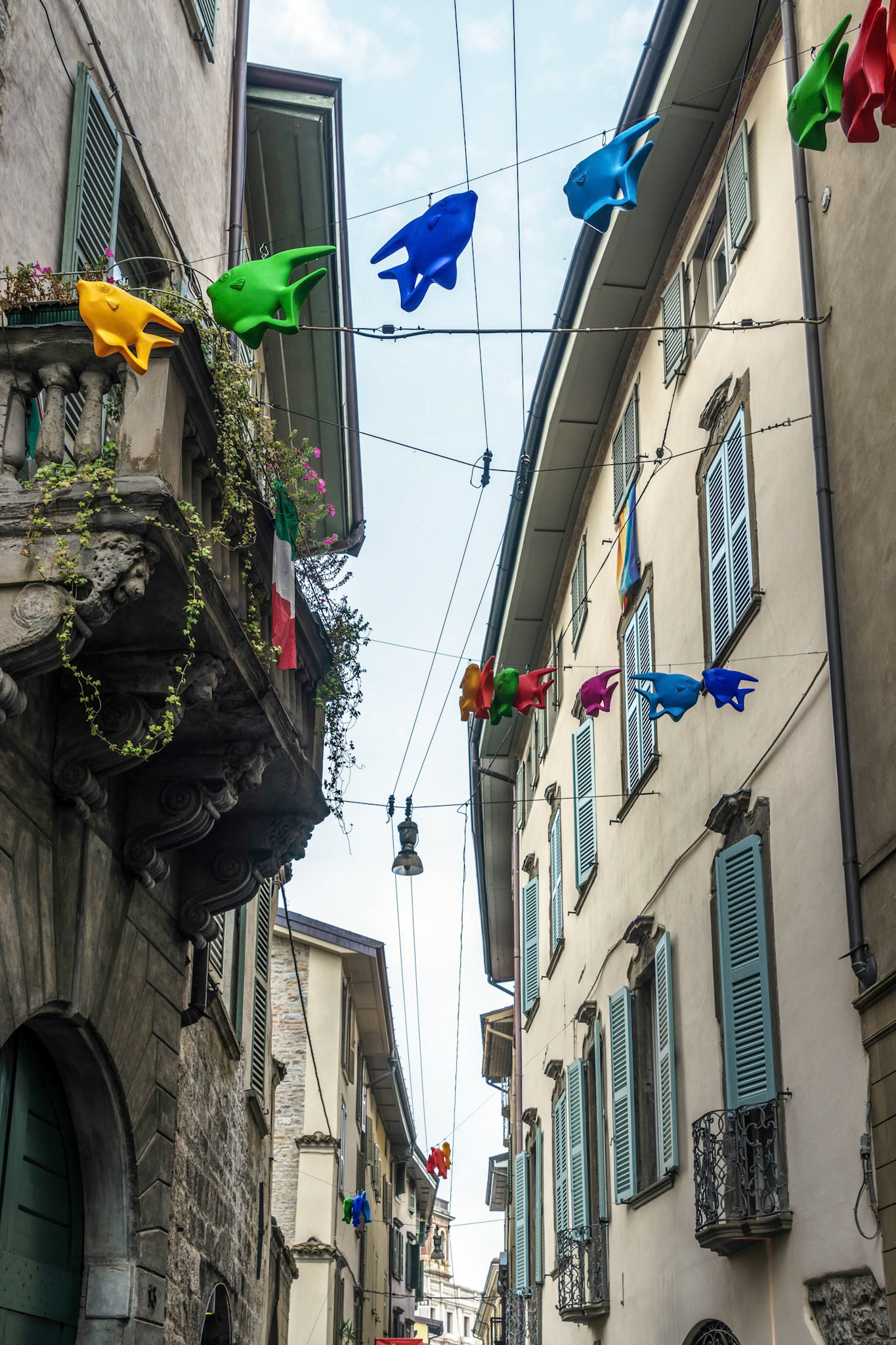 Flying Fish across a Street in Citta Alta Bergamo
