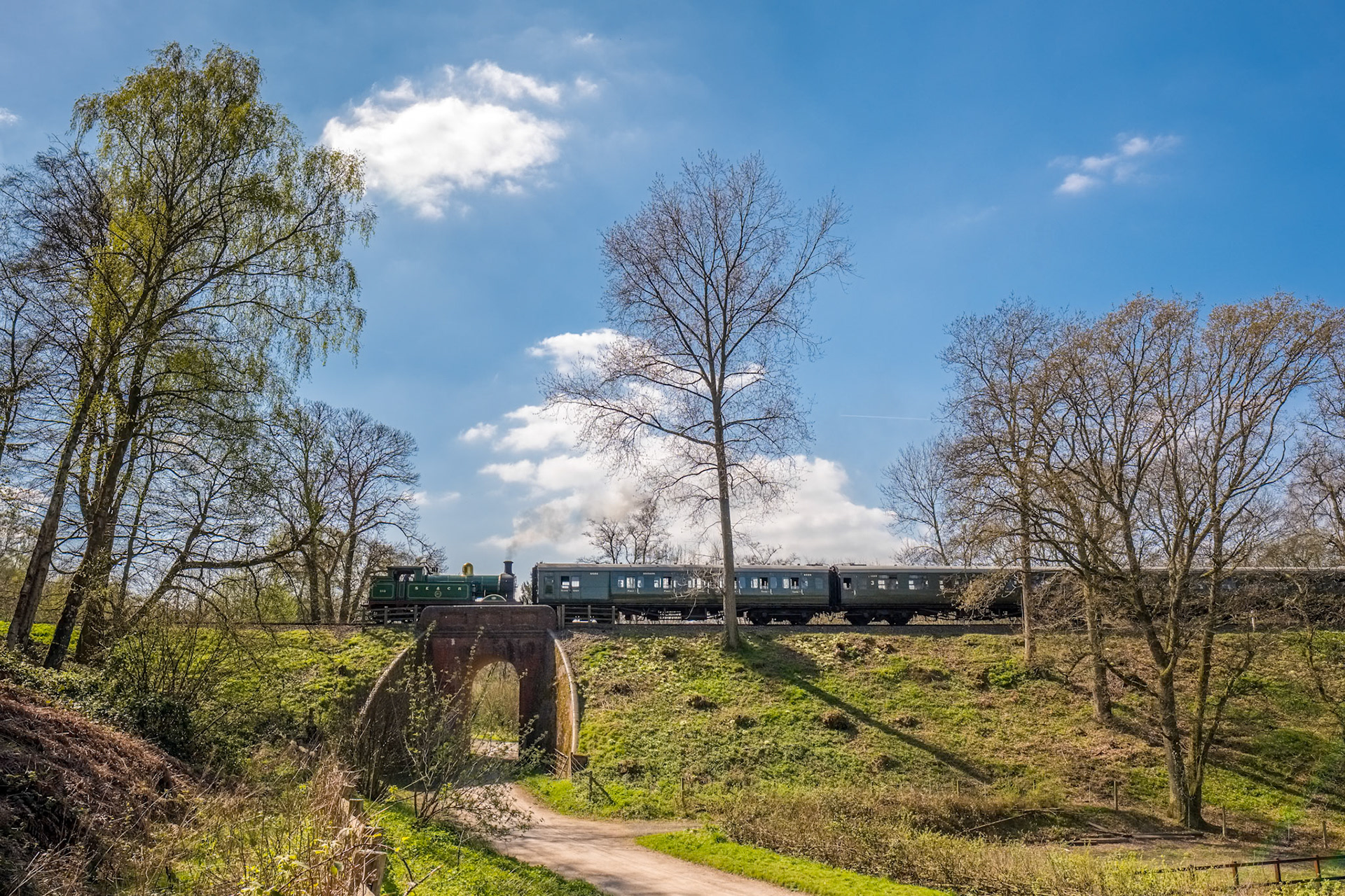 Steam Train on the Bluebell Railway Line in Sussex