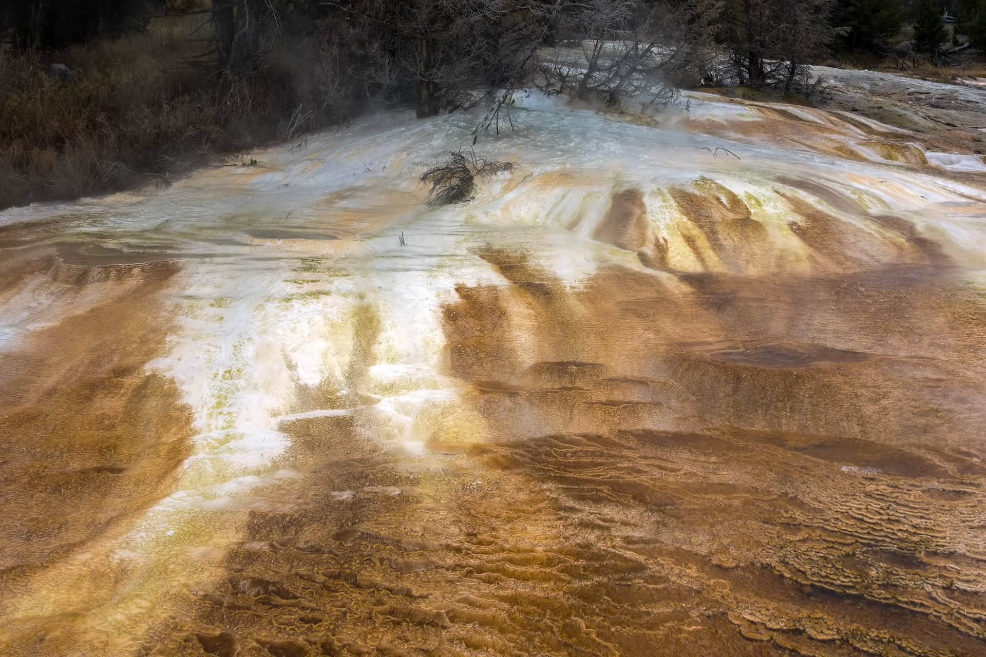 Mammoth Hot Springs