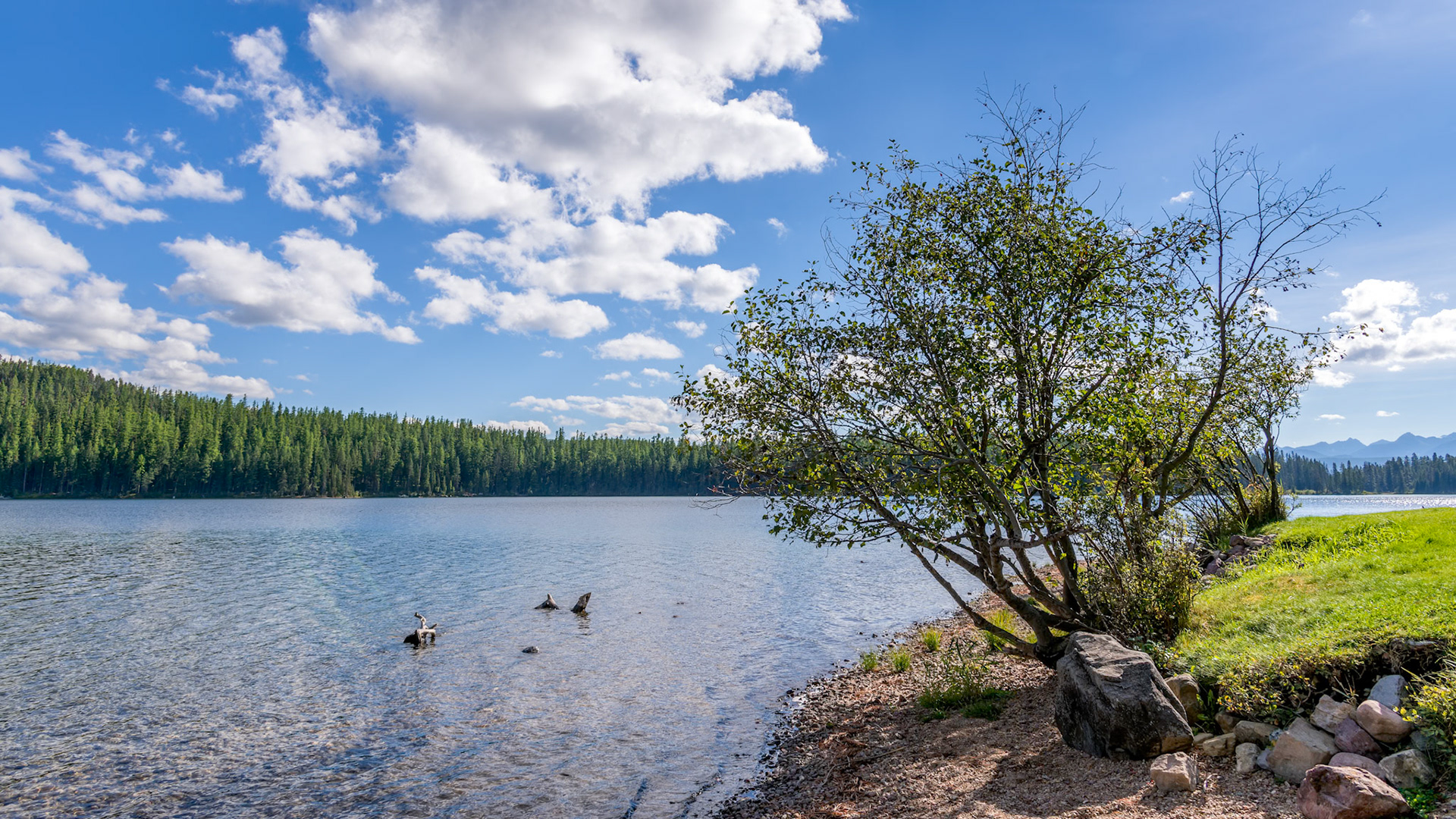 Scenic View of Holland Lake in Montana