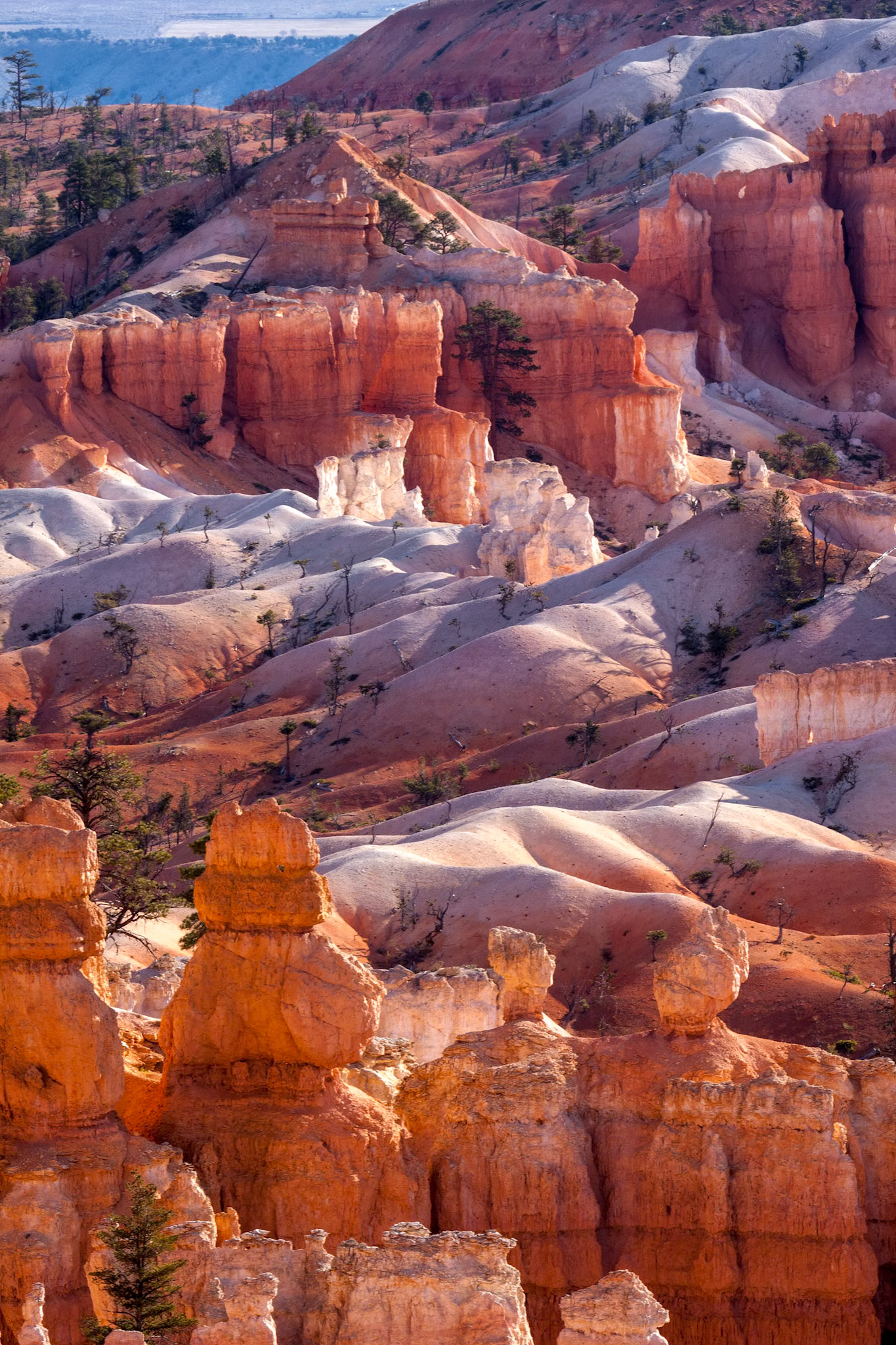 Scenic View of Bryce Canyon