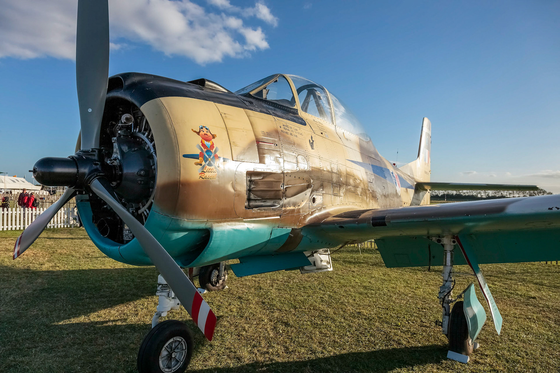North American T28 Fennec, Little Rascal, N14113, 1951
