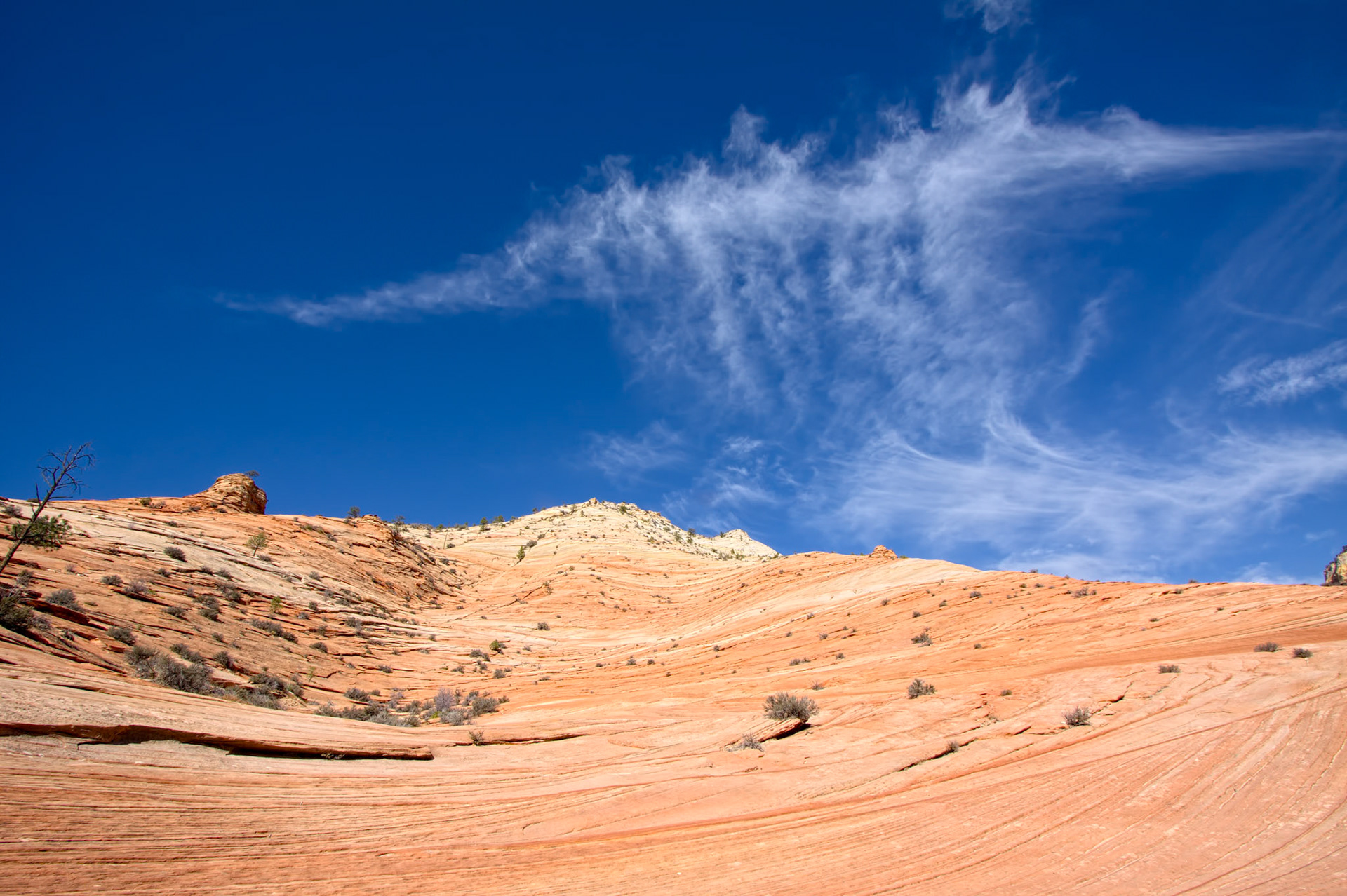 Strange Cloud Formation in Zion National Park