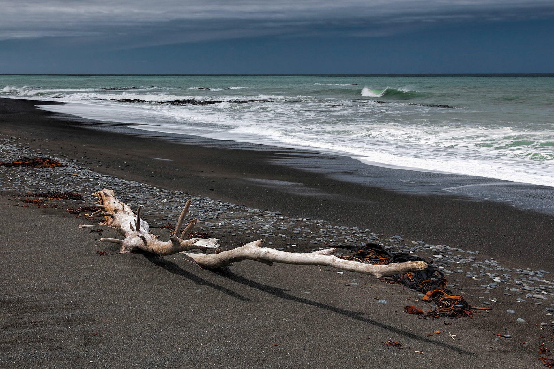 Driftwood on Rarangi Beach