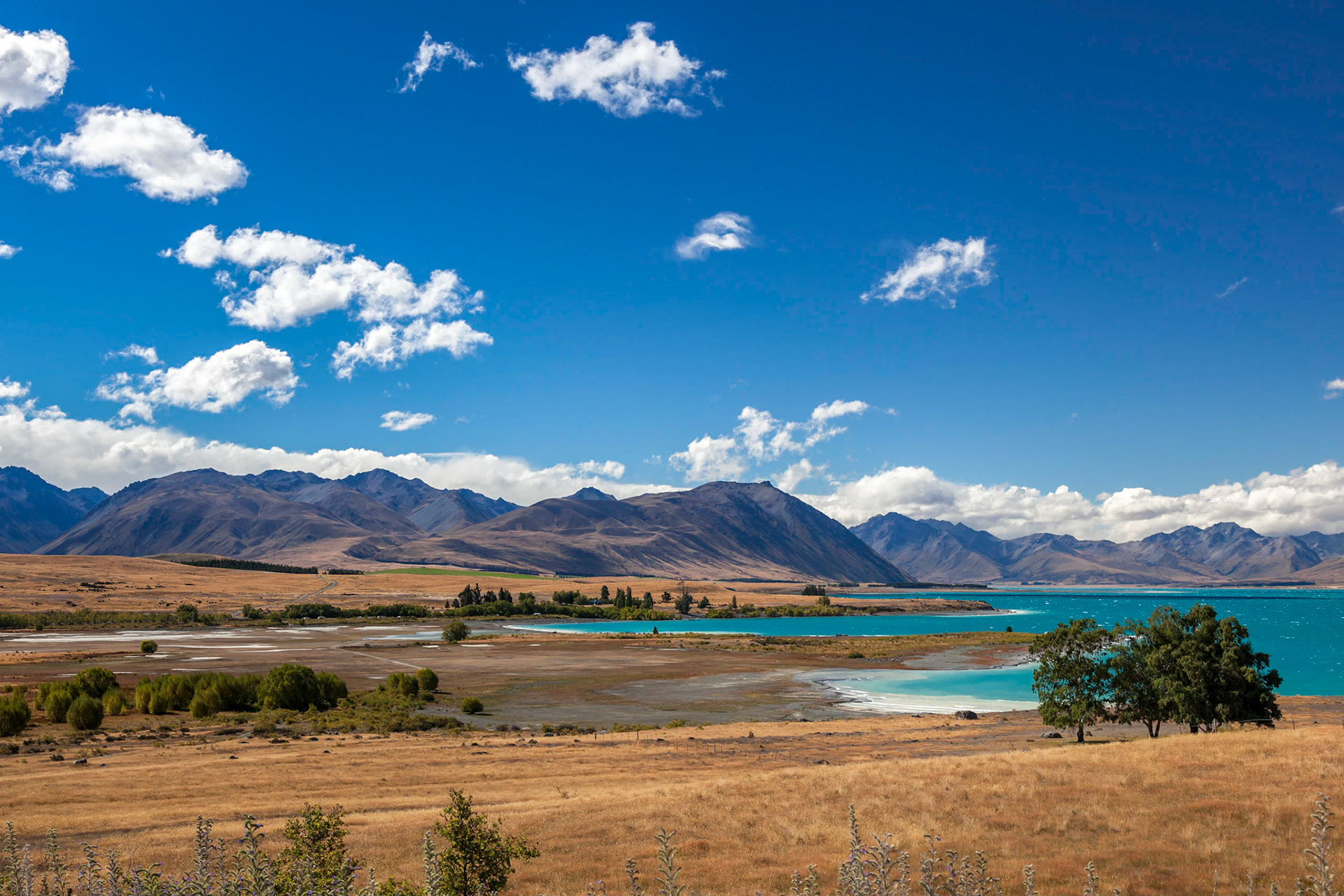 Lake Tekapo