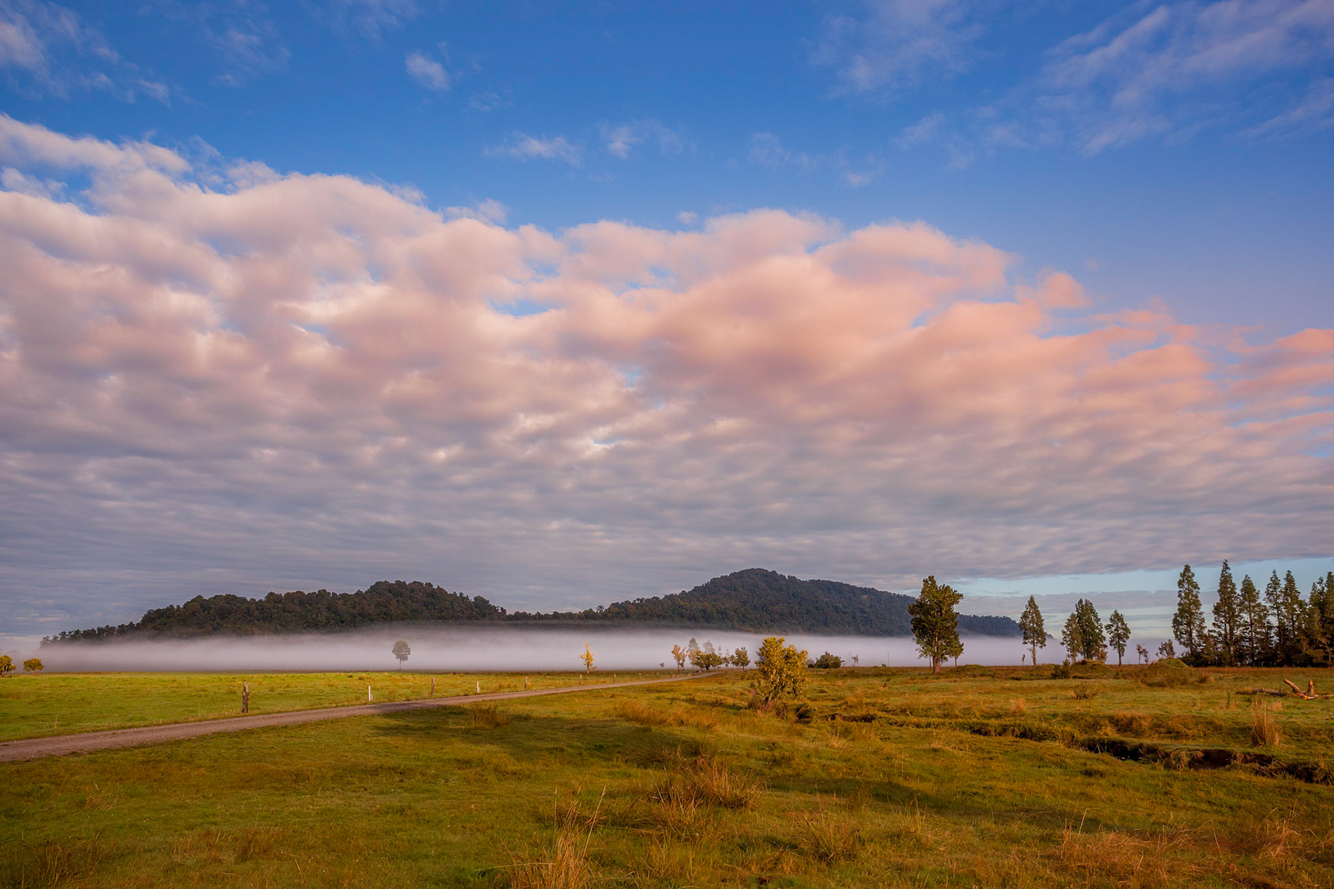 Early morning mist across farmland in New Zealand