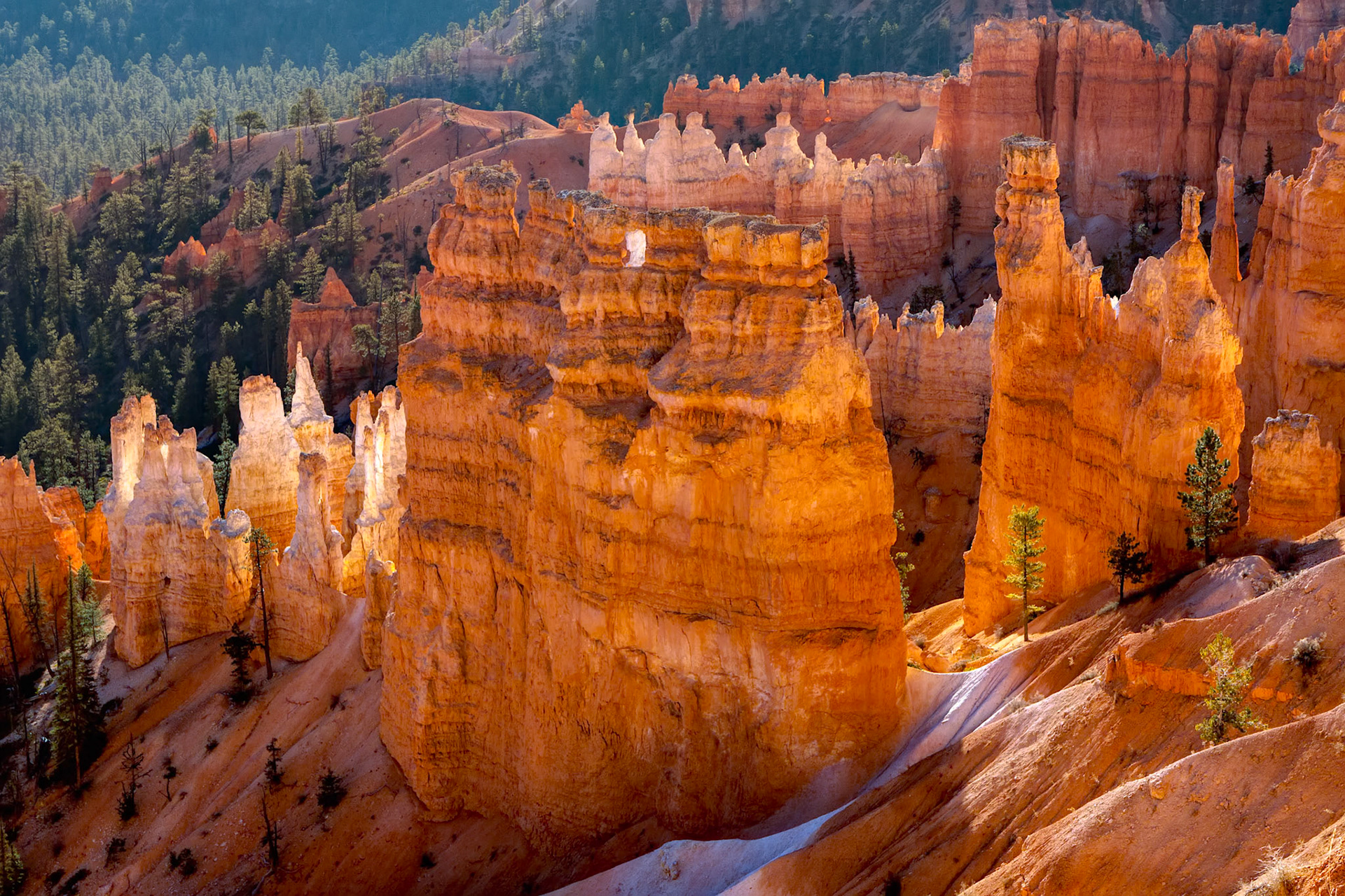 Bryce Canyon Sculpted by Nature