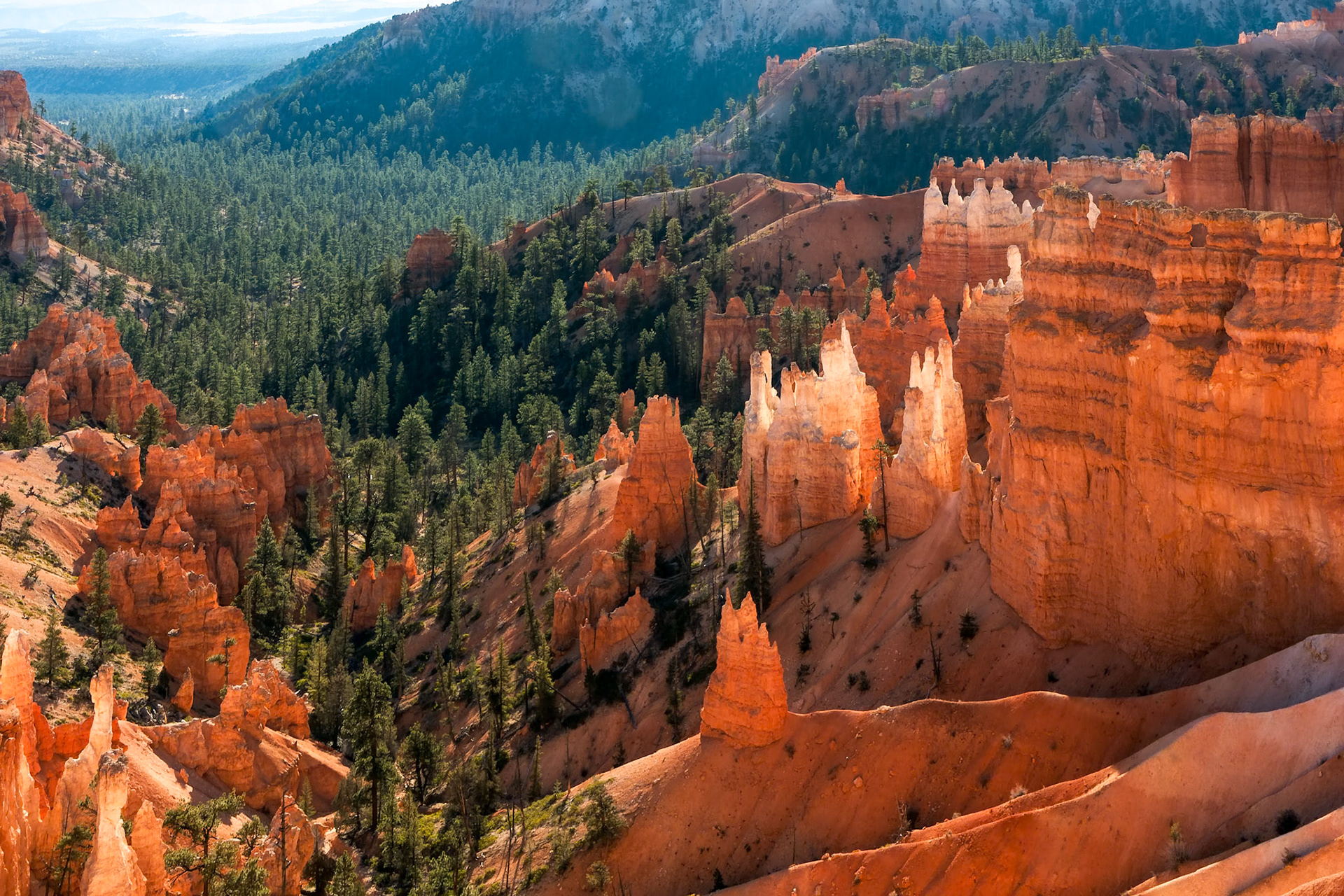 Scenic View into Bryce Canyon