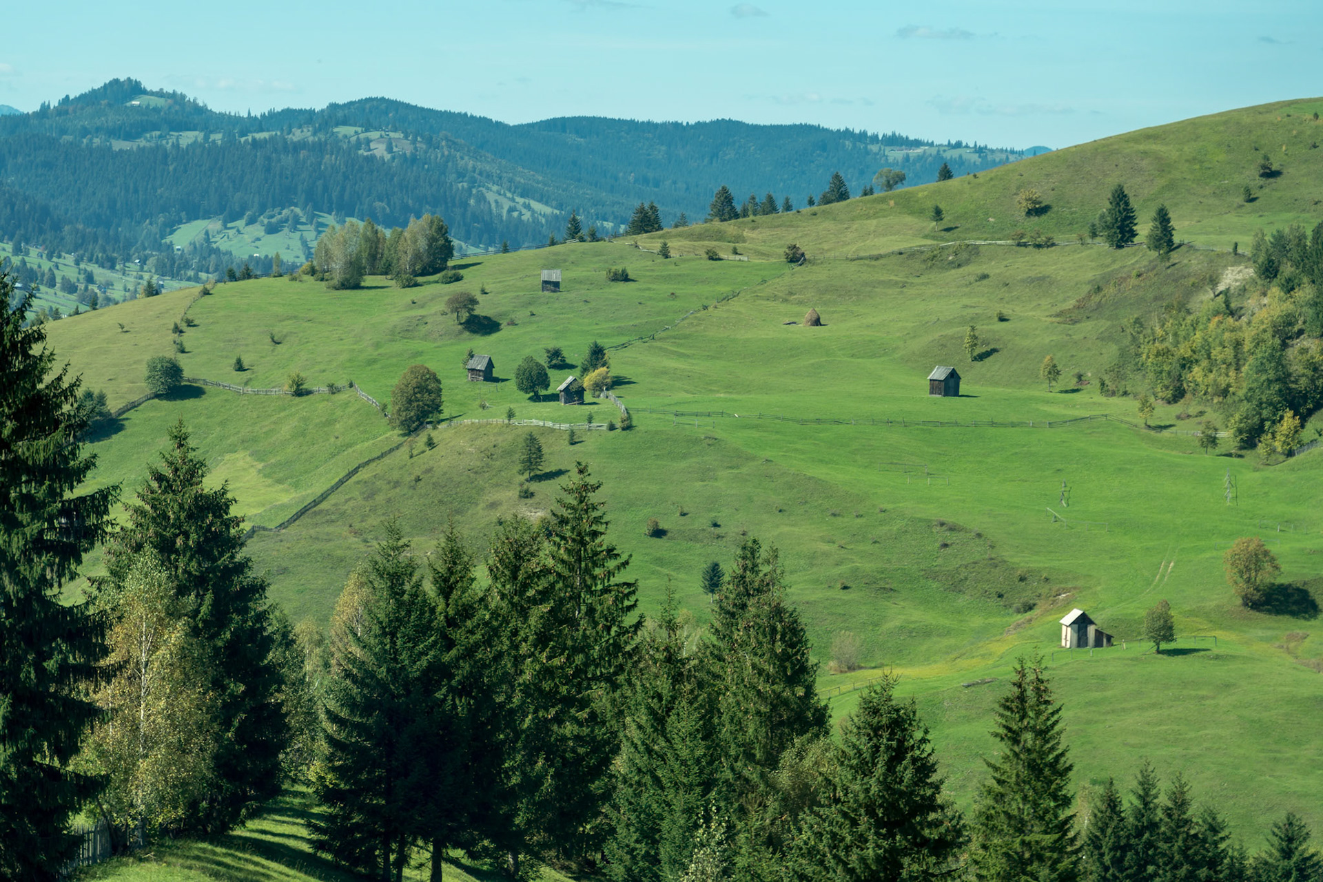 CAMPULUNG MOLDOVENESC, TRANSYLVANIA/ROMANIA - SEPTEMBER 18 : Farmland near  Campulung Moldovenesc Transylvania Romania on September 18, 2018