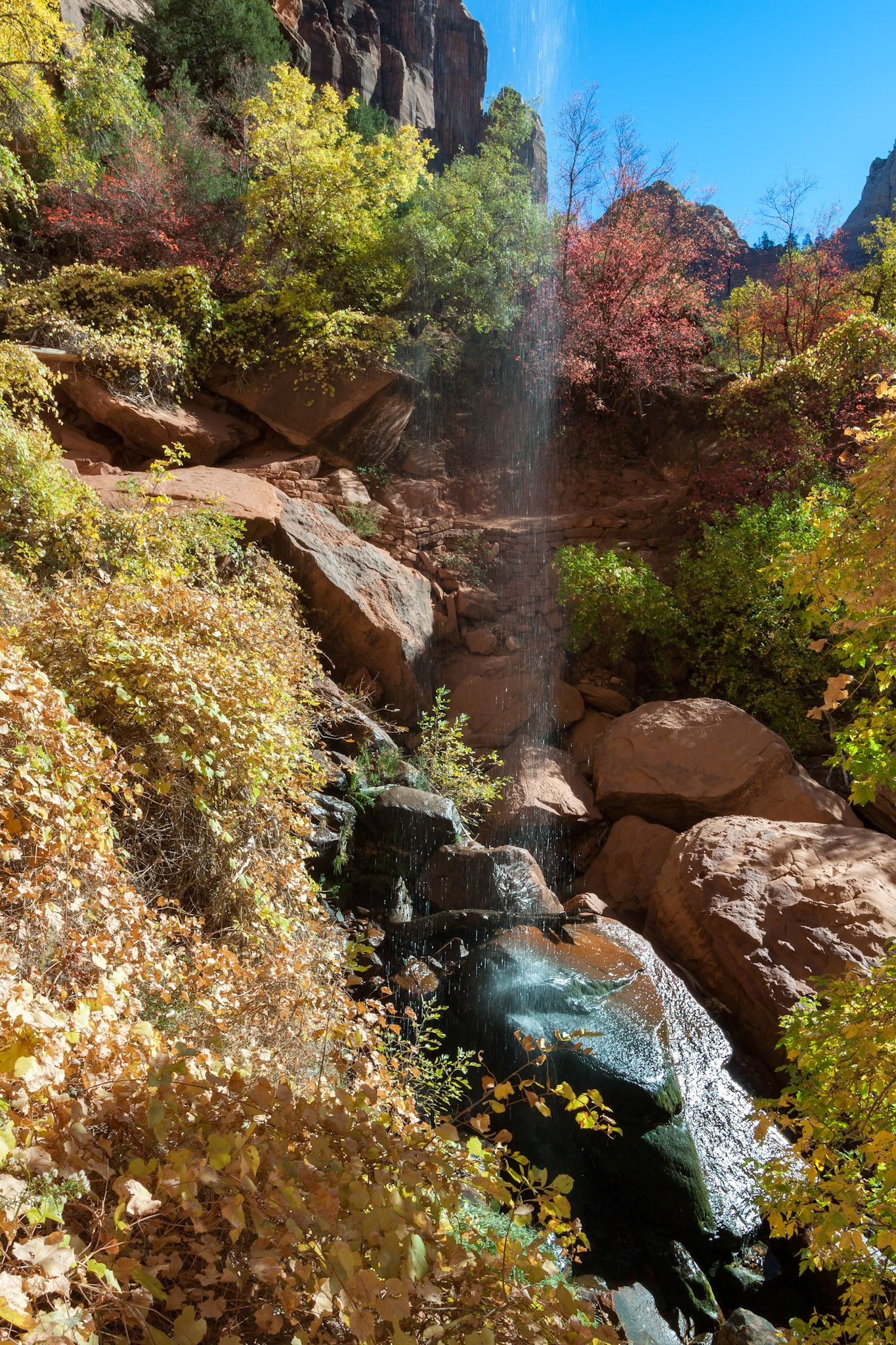Colourful Autumn Foliage and Waterfall in Zion