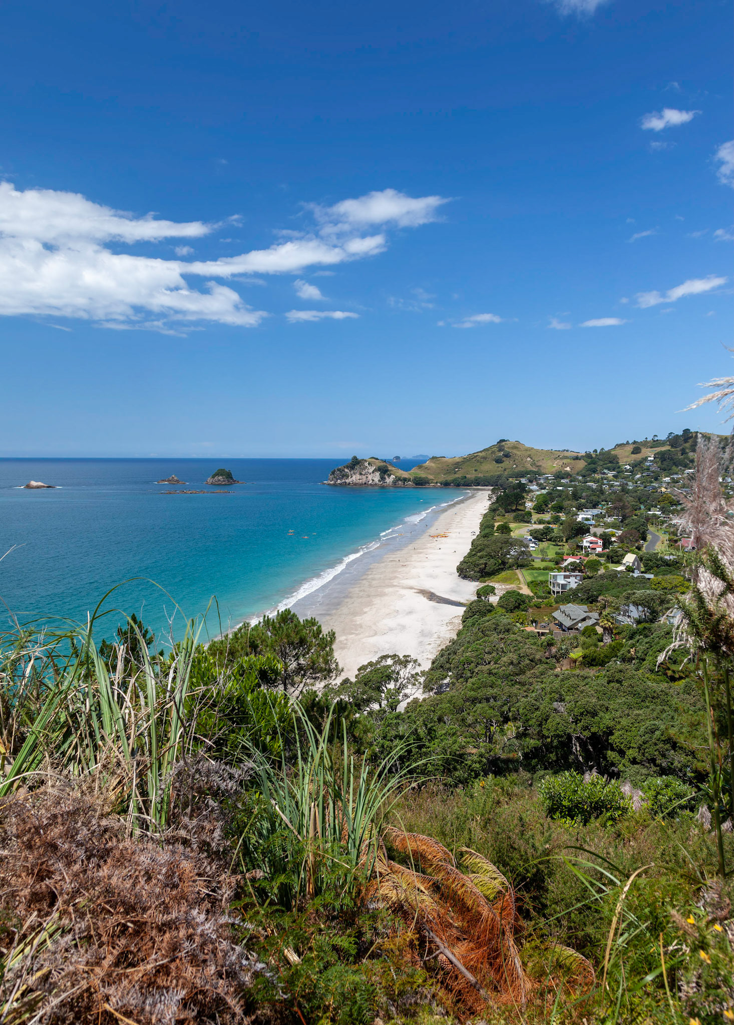 View down to Hahei in New Zealand