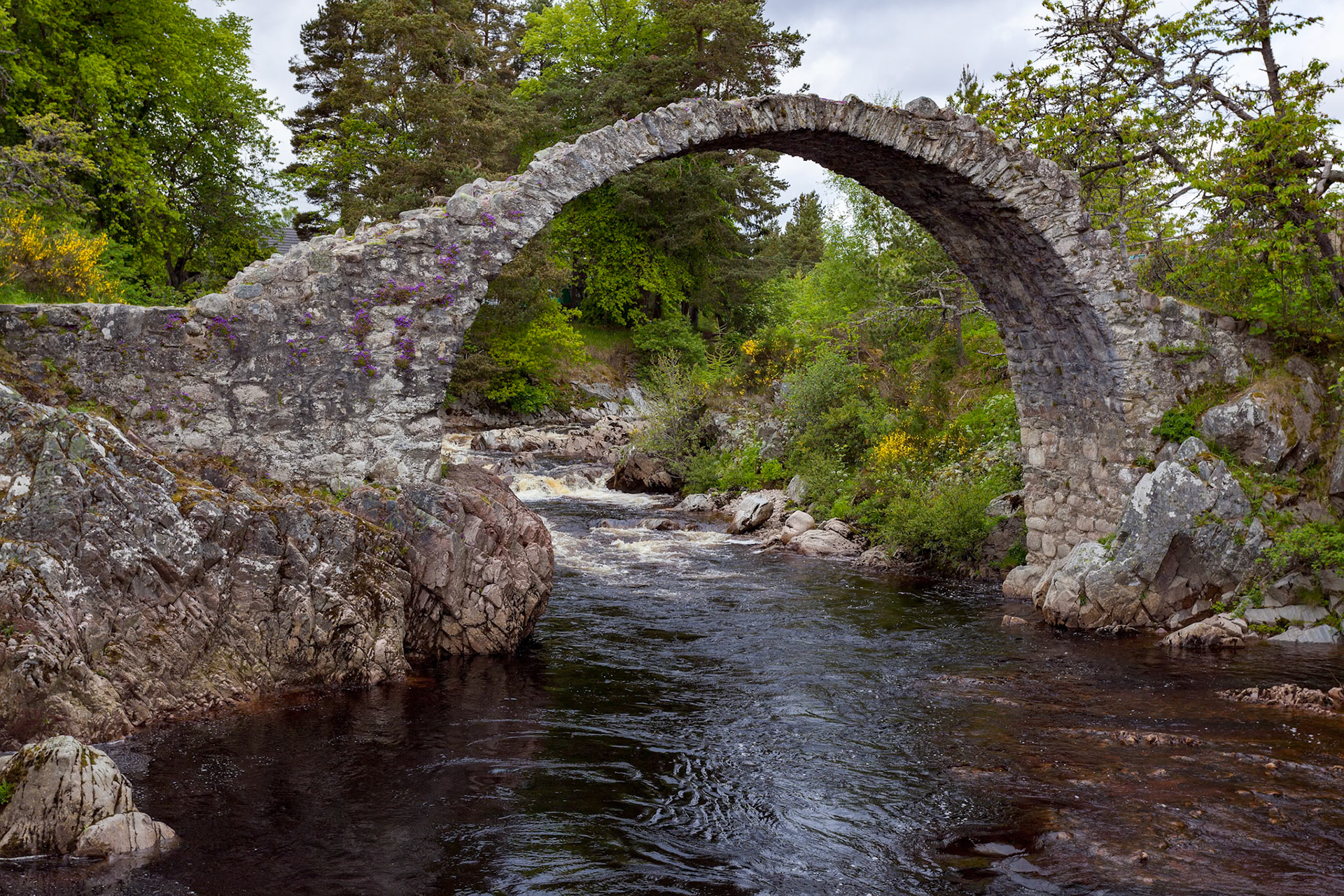 CARRBRIDGE, BADENOCH and STRATHSPEY/SCOTLAND - MAY 21 : Packhorse bridge at Carrbridge Scotland on May 21, 2011