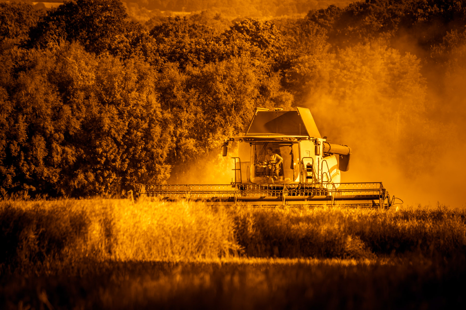 EAST GRINSTEAD, WEST SUSSEX/UK - JULY 30 : Harvesting rape seed on a farm near East Grinstead West Sussex on July 30, 2020. One unidentified person