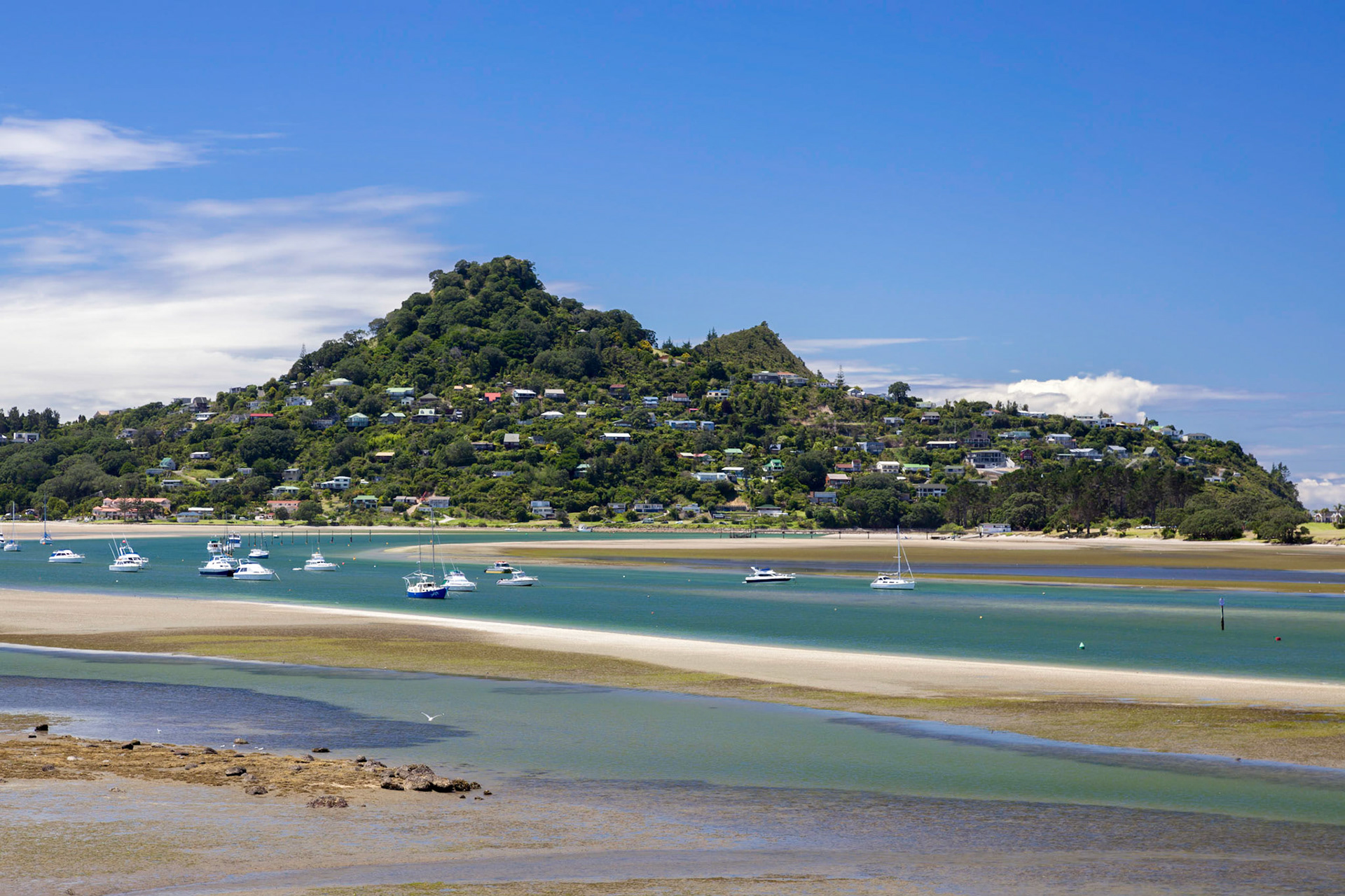 Inlet at Tairua in New Zealand