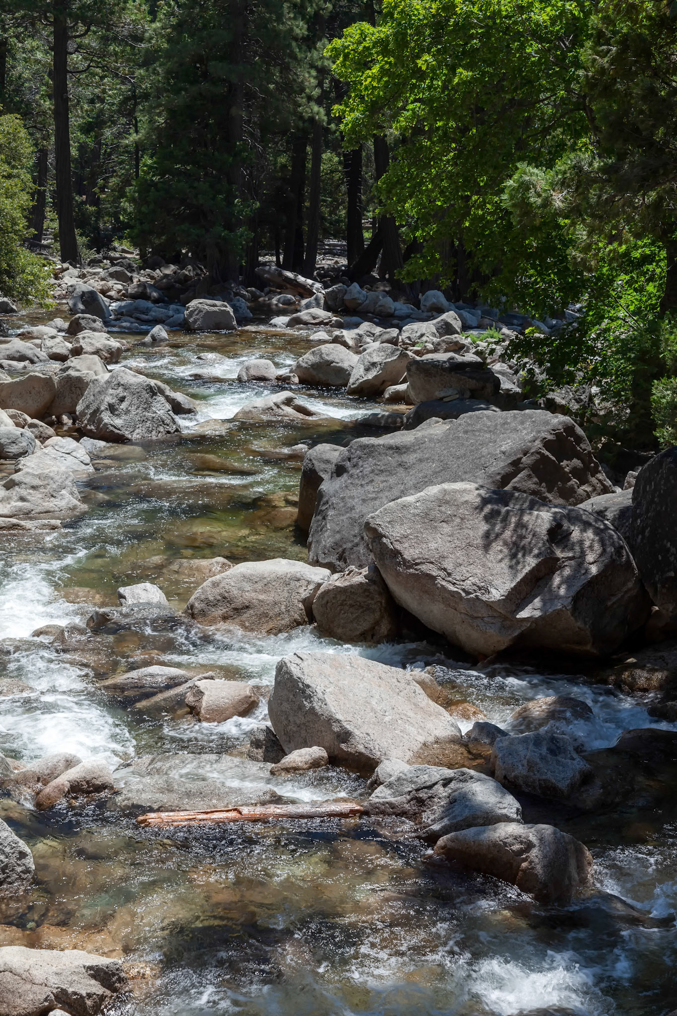 Rapids in Yosemite