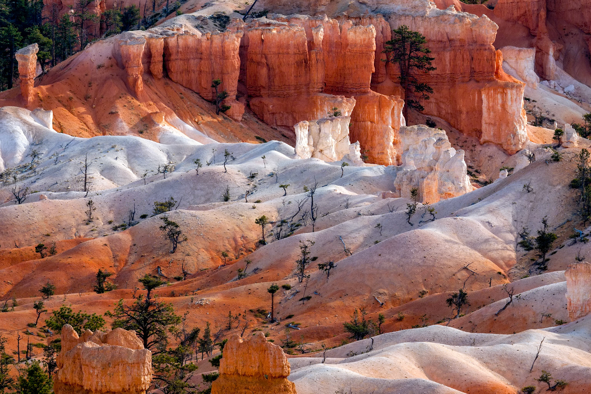 Scenic View of Bryce Canyon
