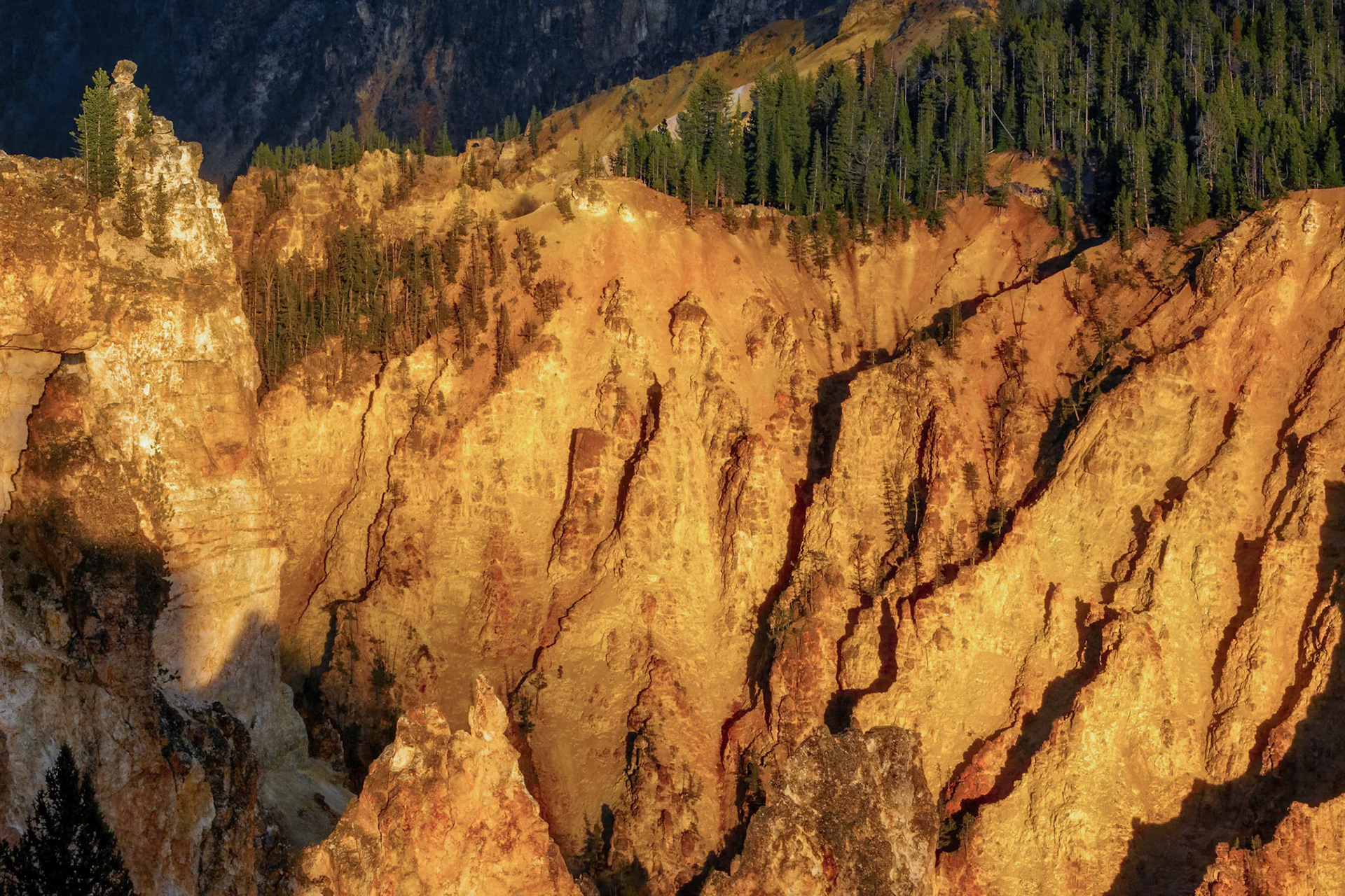 Grand Canyon of Yellowstone