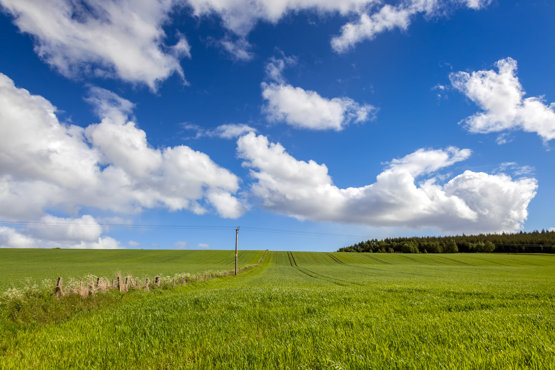 Arable Landscape near Drumderfit