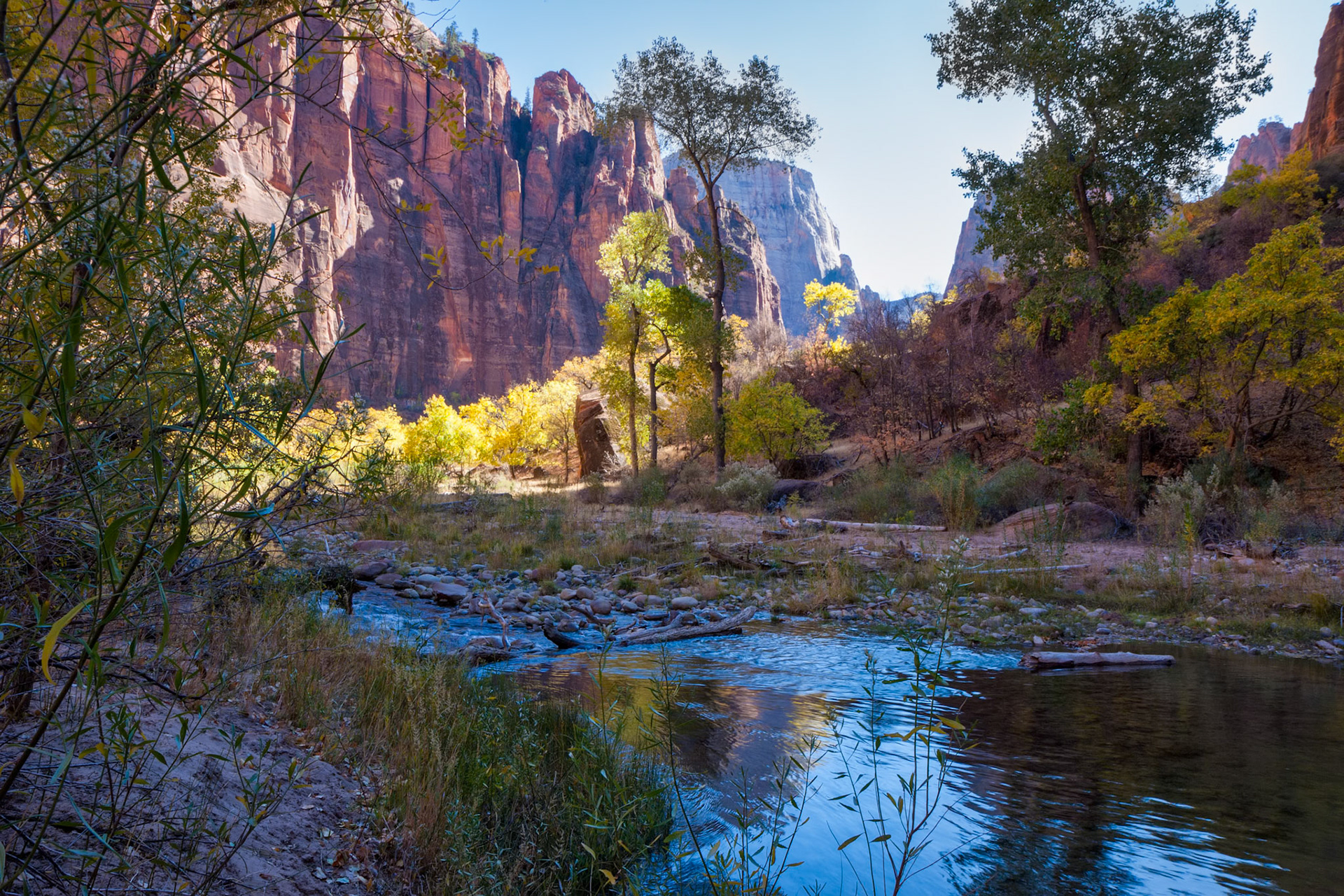 View from the Bank of the Virgin River