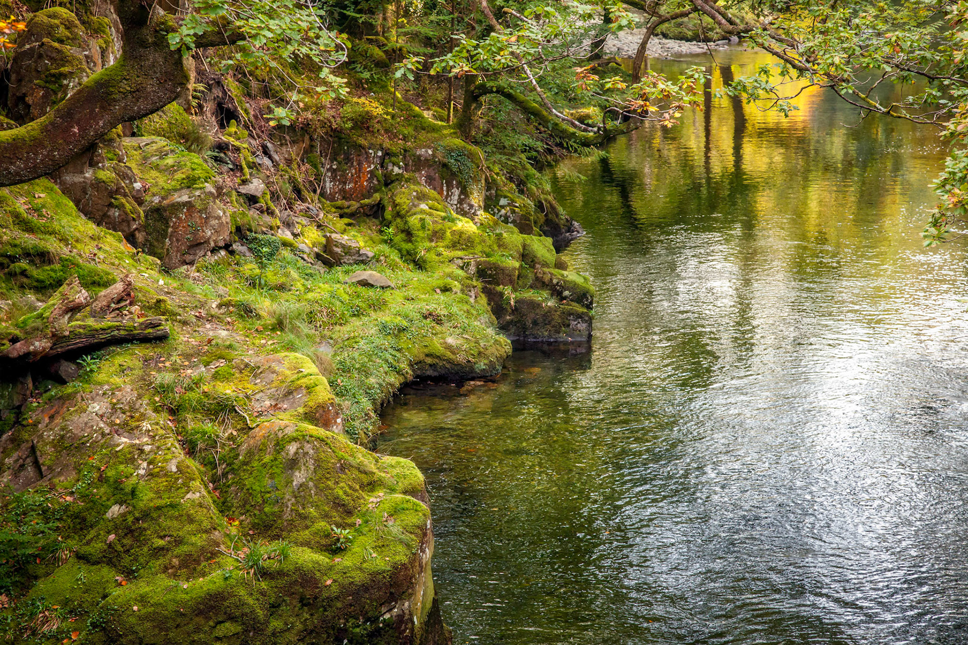 View along the Glaslyn River in autumn