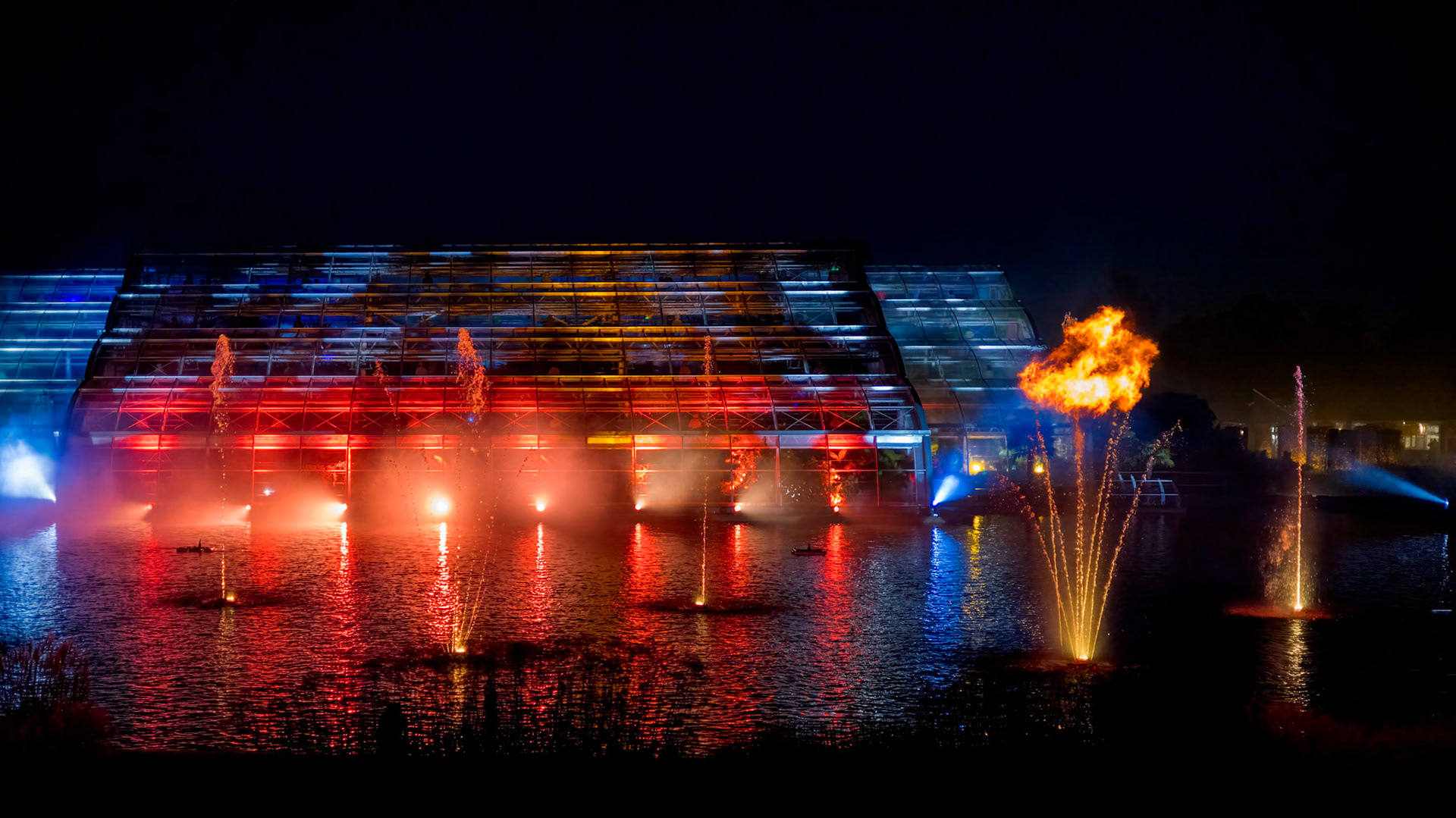 Wisley, Woking, Surrey, UK - November 19 : Christmas Glow 2022 at RHS Garden Wisley, Woking, Surrey, England, UK on November 19, 2022
