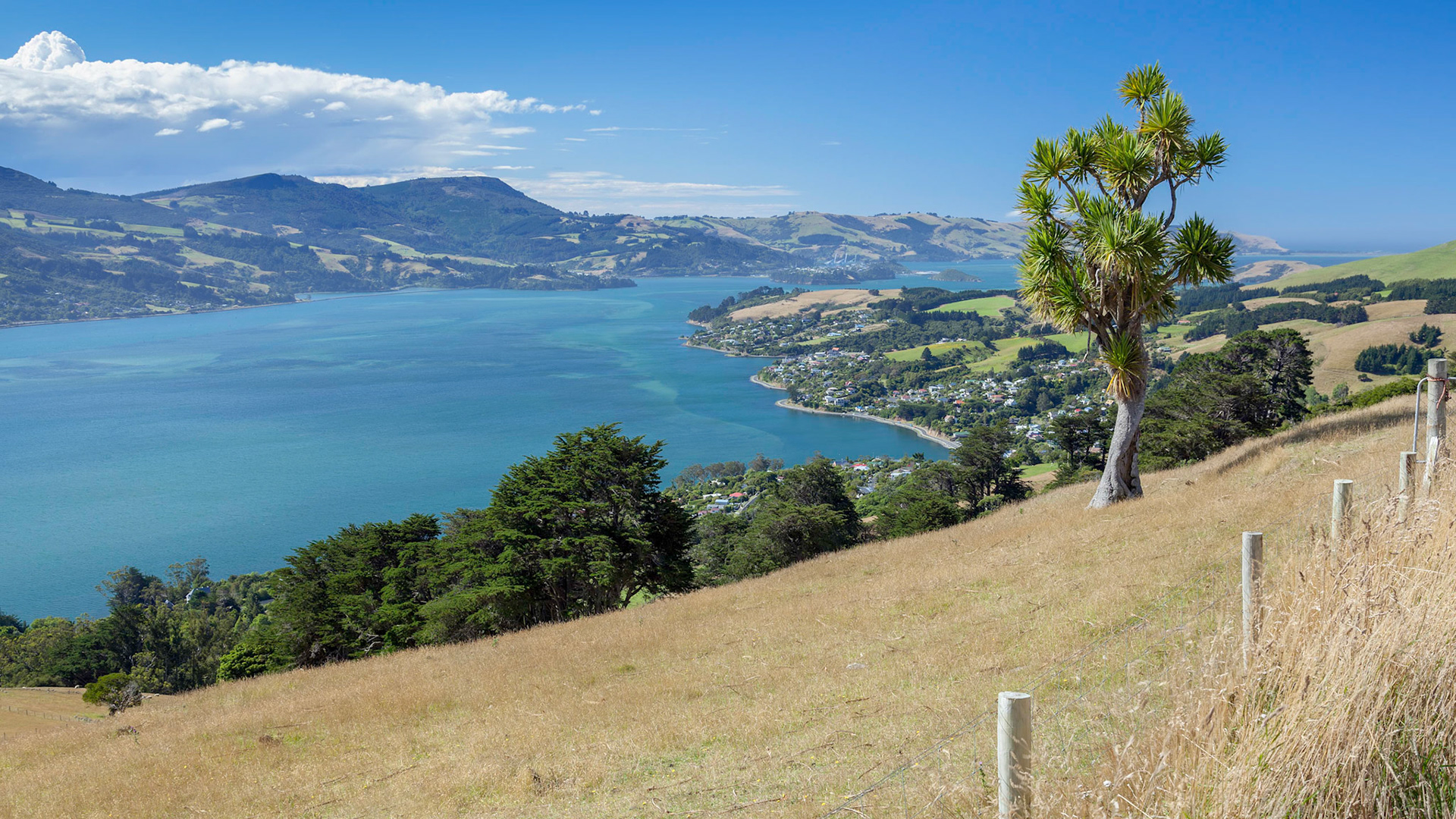 Scenic view of the  countryside near Dunedin