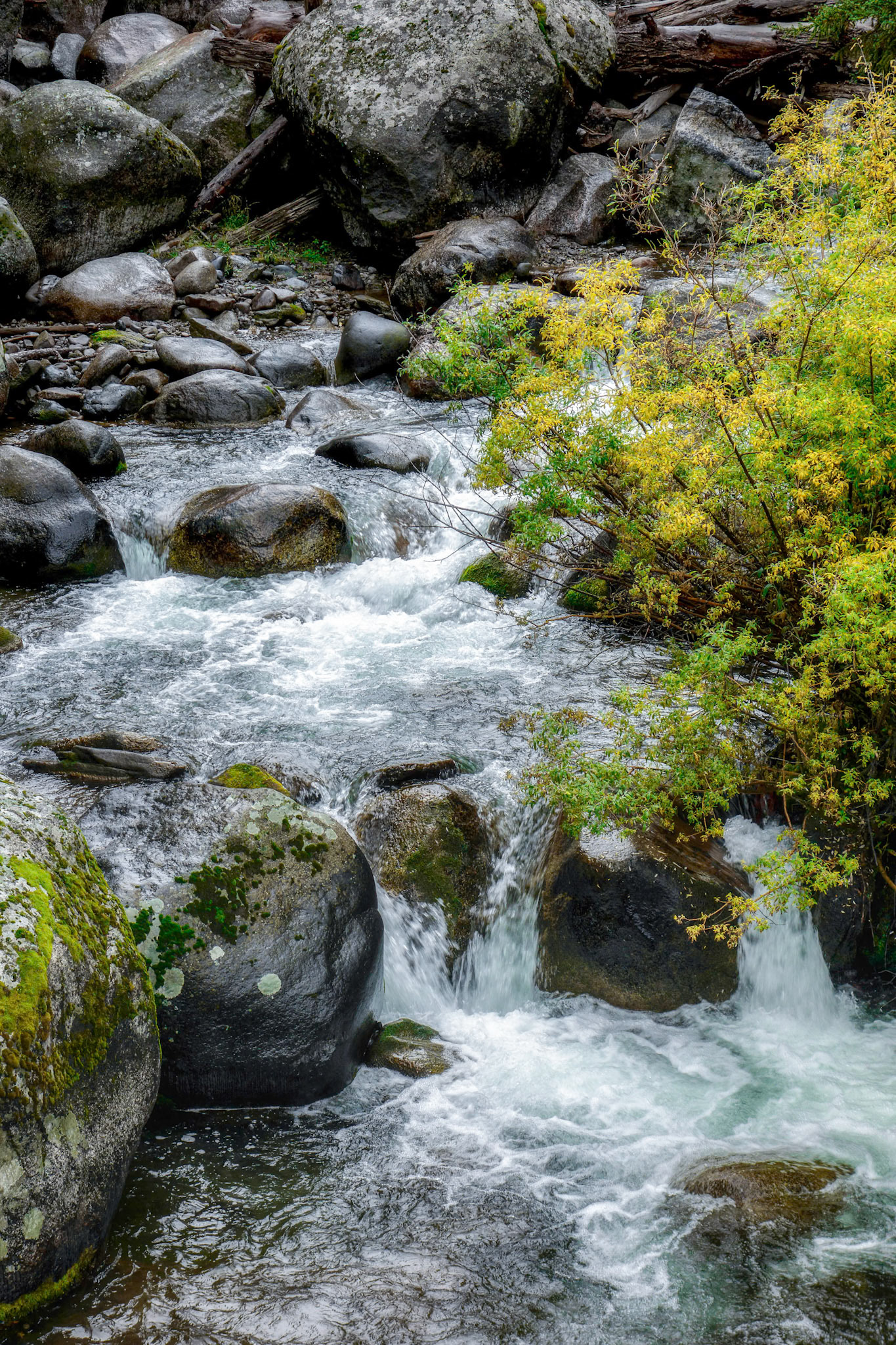 Small Rapids along the Yellowstone River