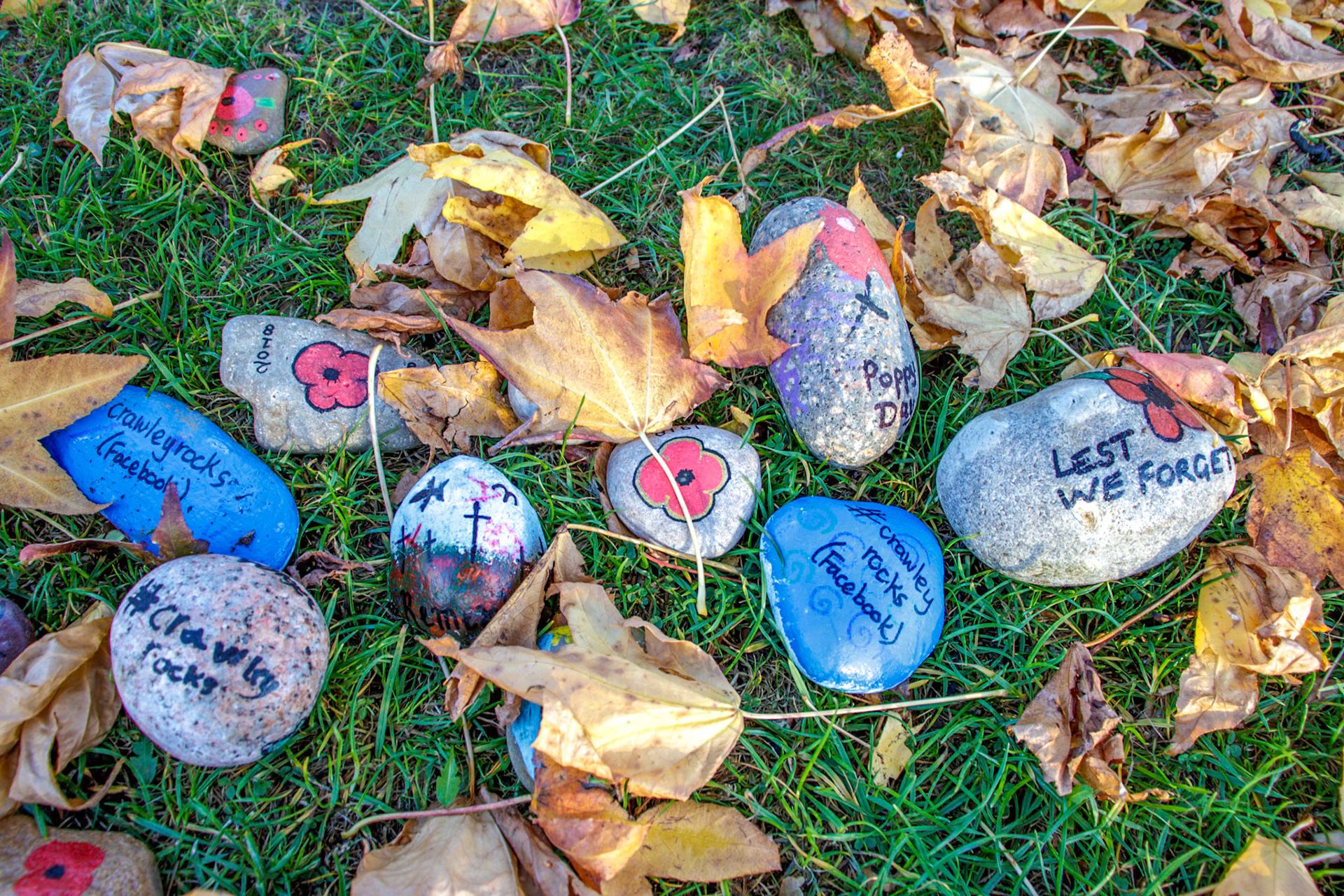 Specially decorated stones to Commemorate the ending of the First World War