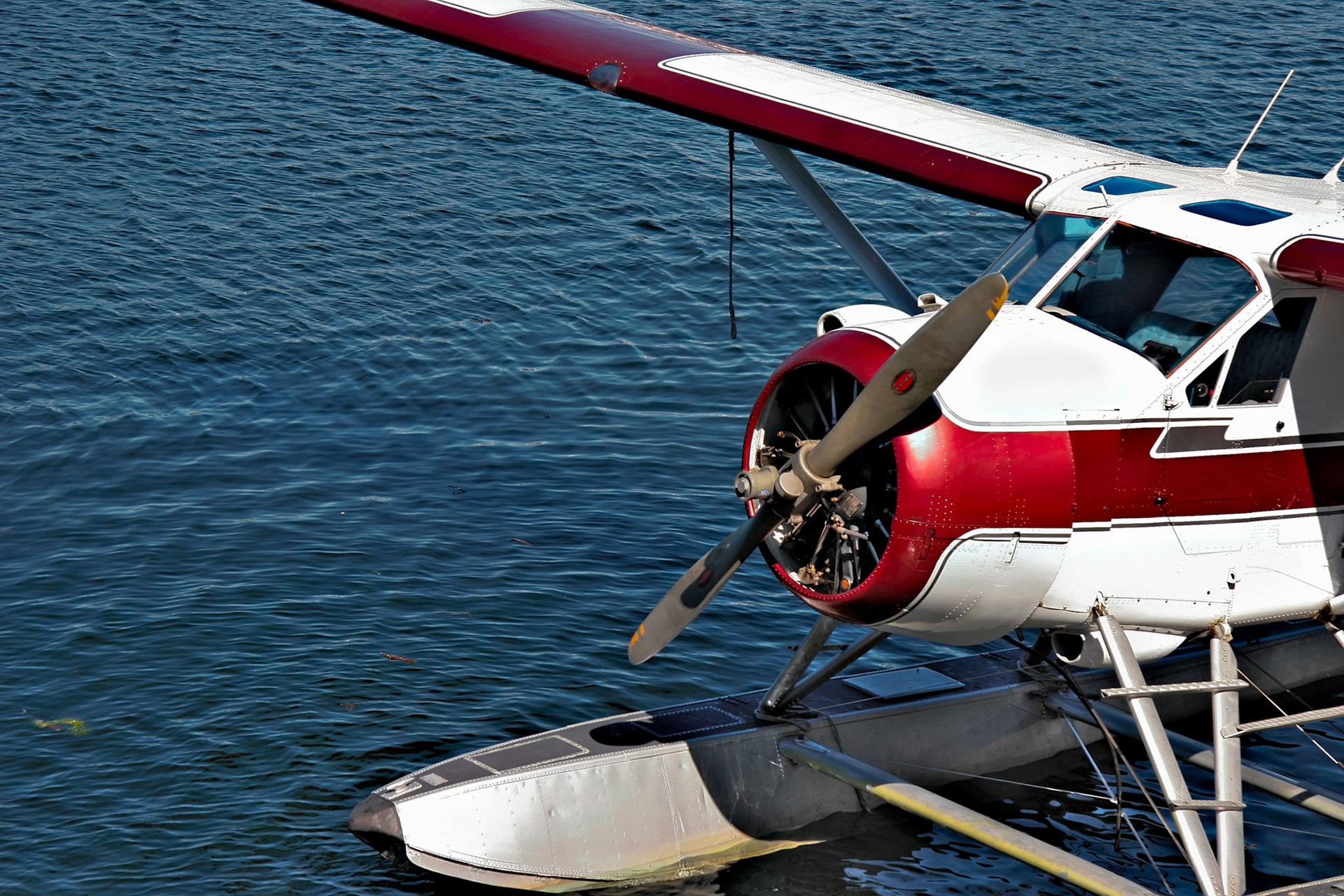 Seaplane moored in Vancouver