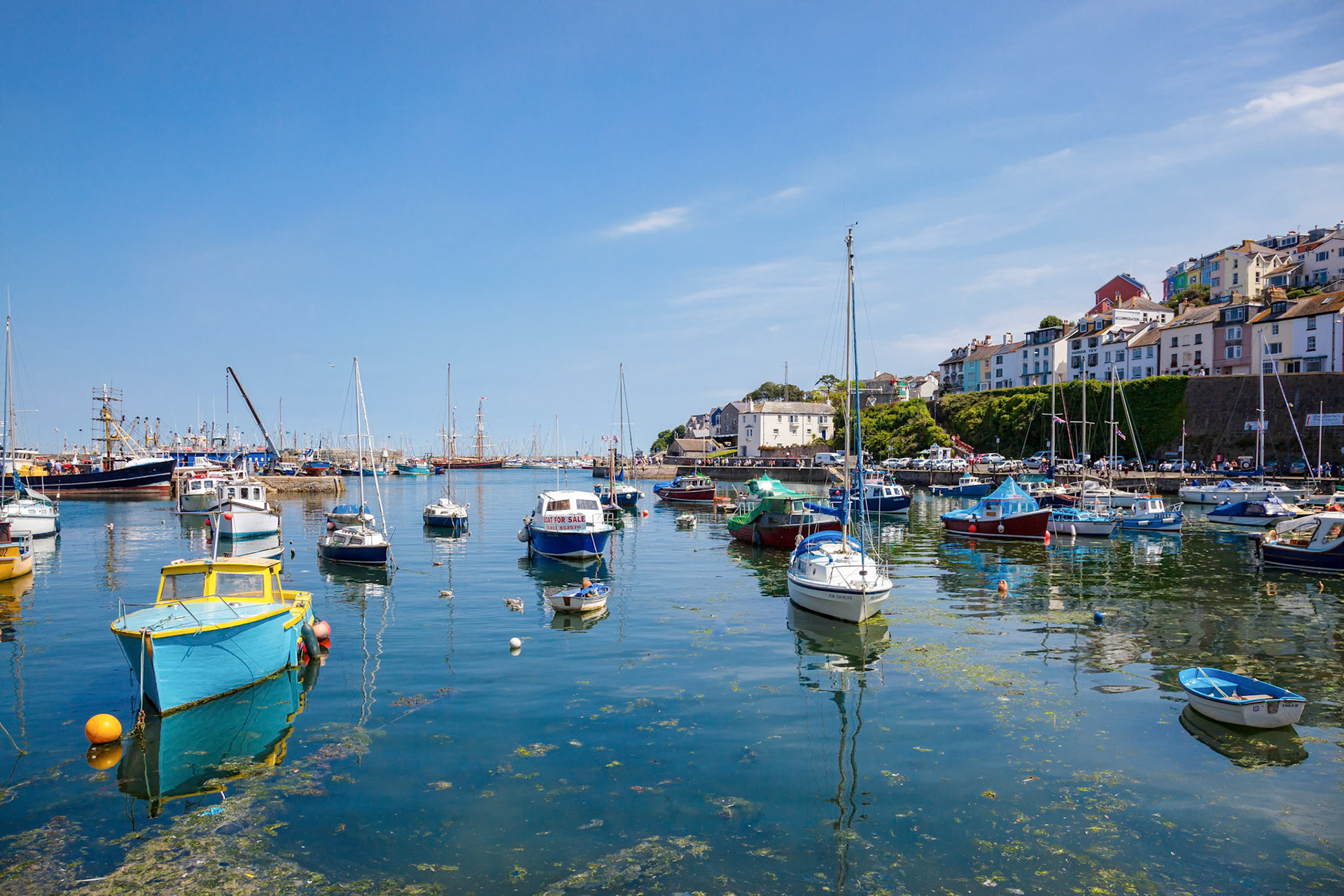 View of Brixham Harbour