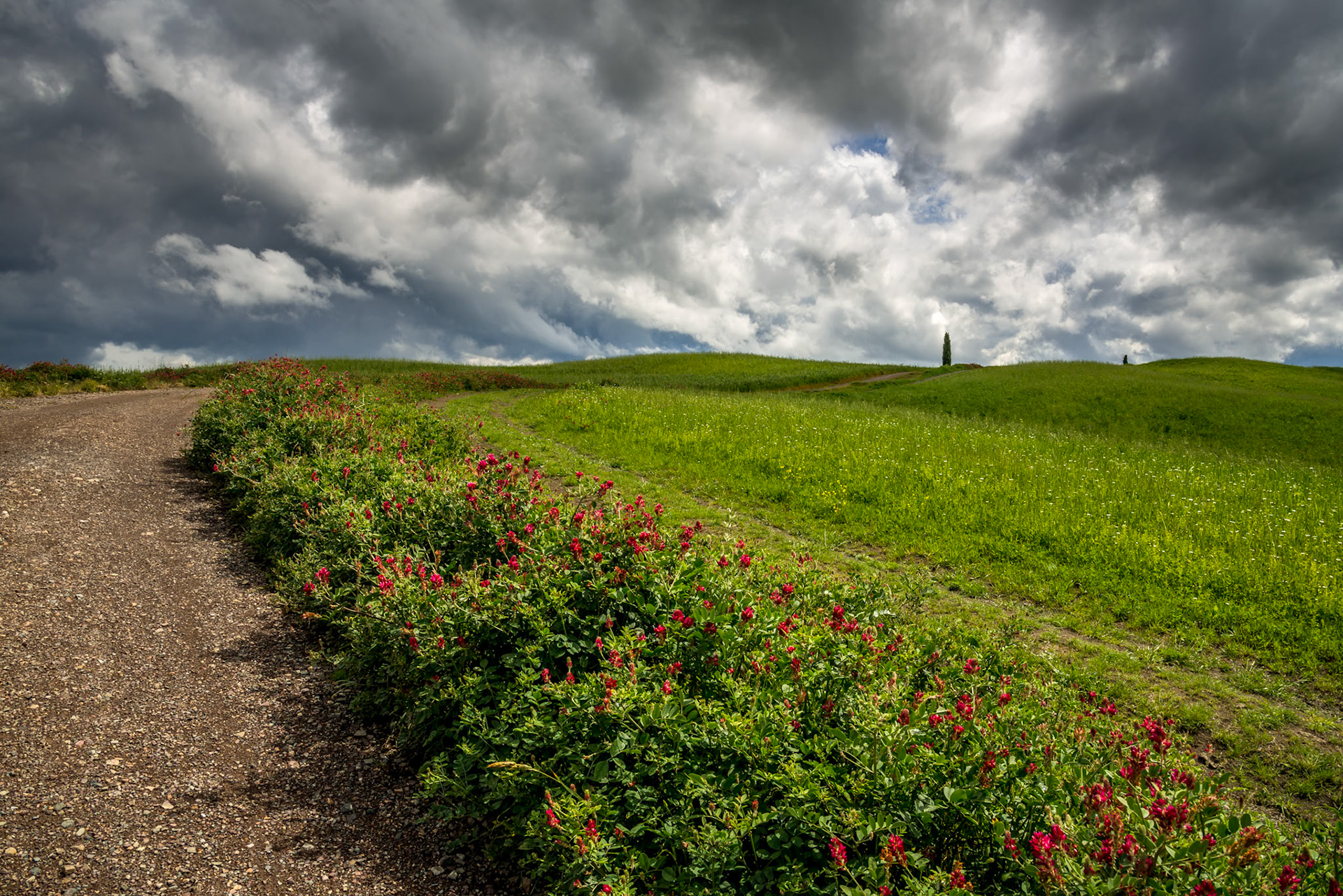 View of the scenic Tuscan countryside