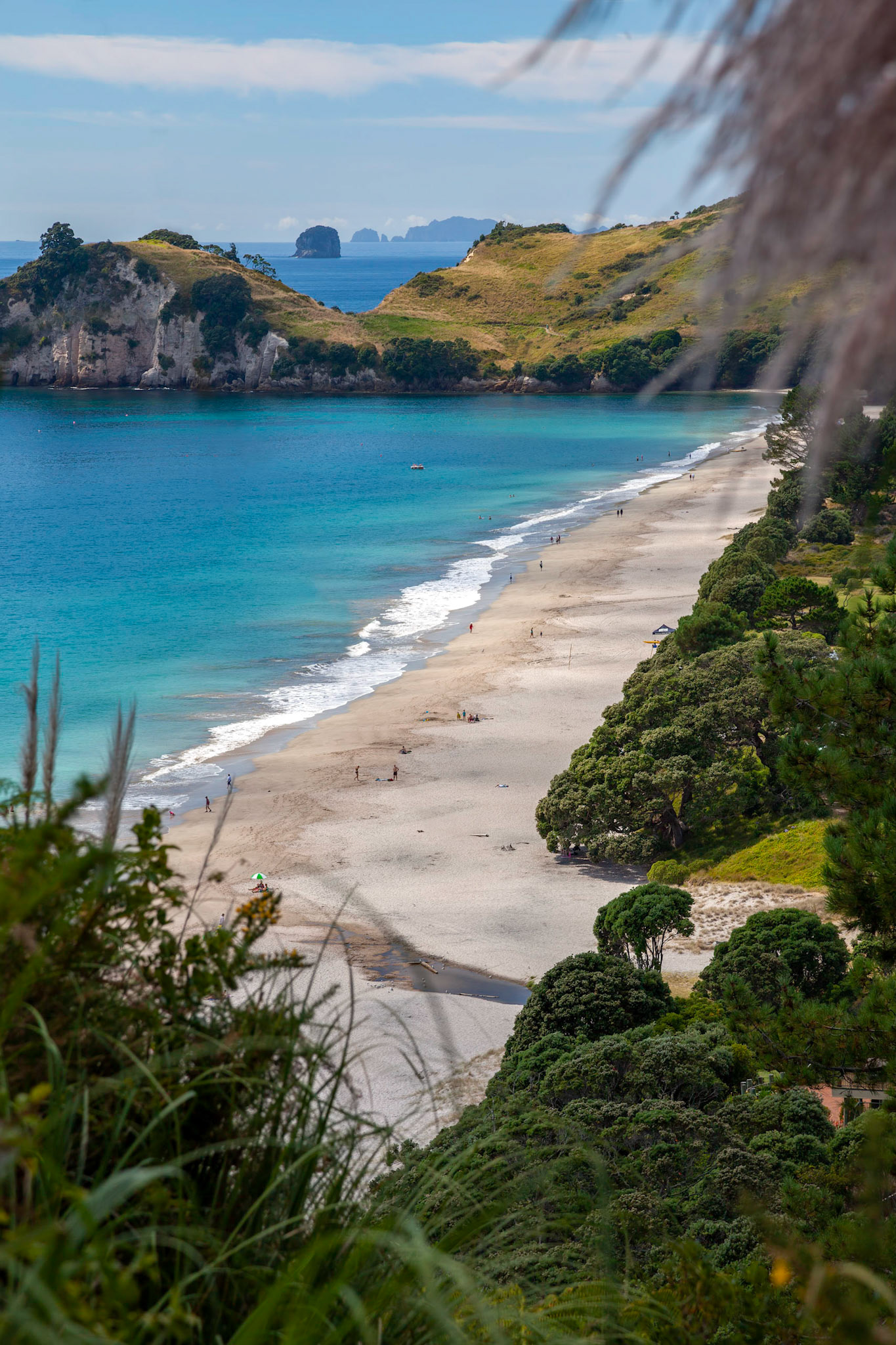 View of Hahei beach in New Zealand