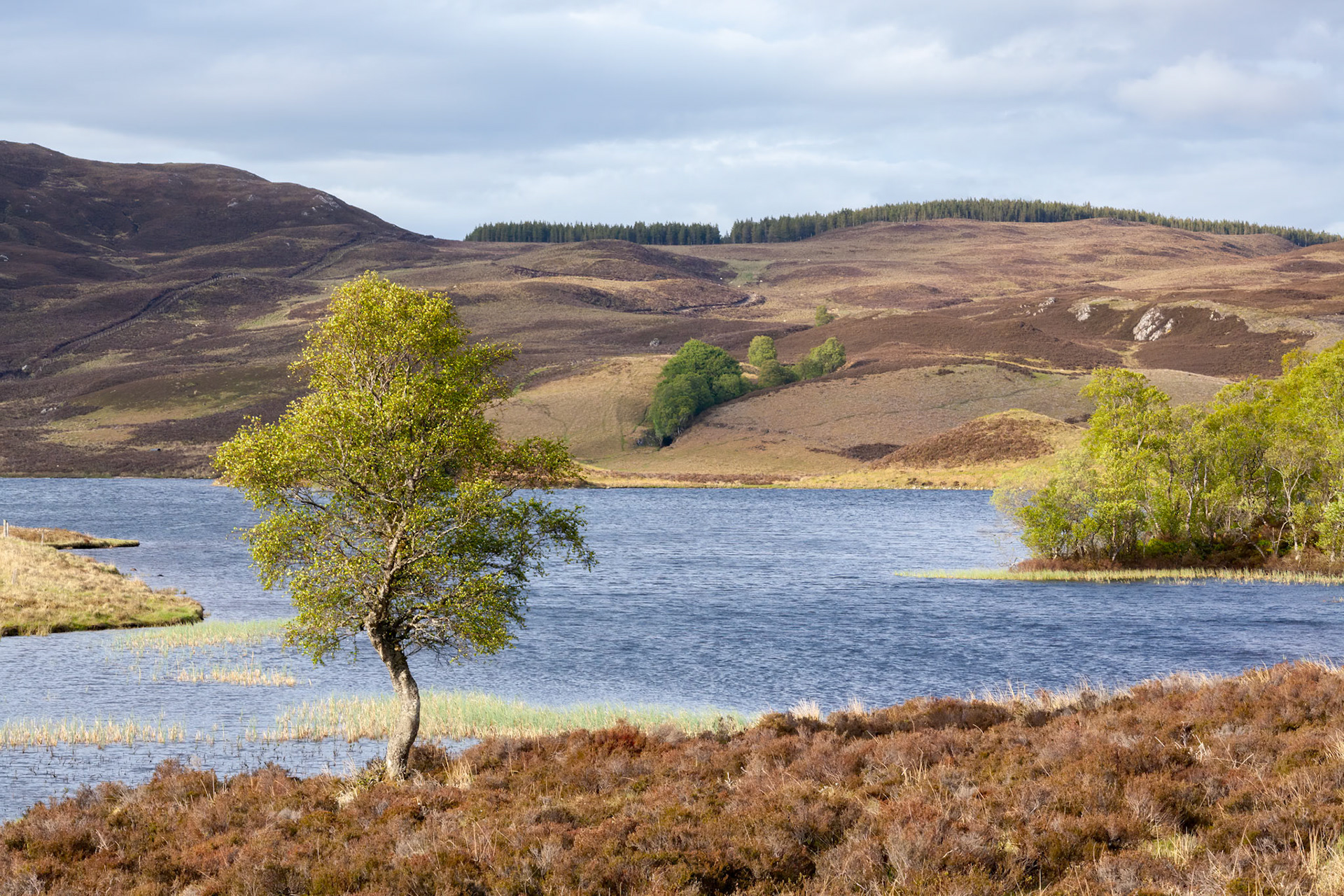 Loch Tarff bathed in soft evening sunlight