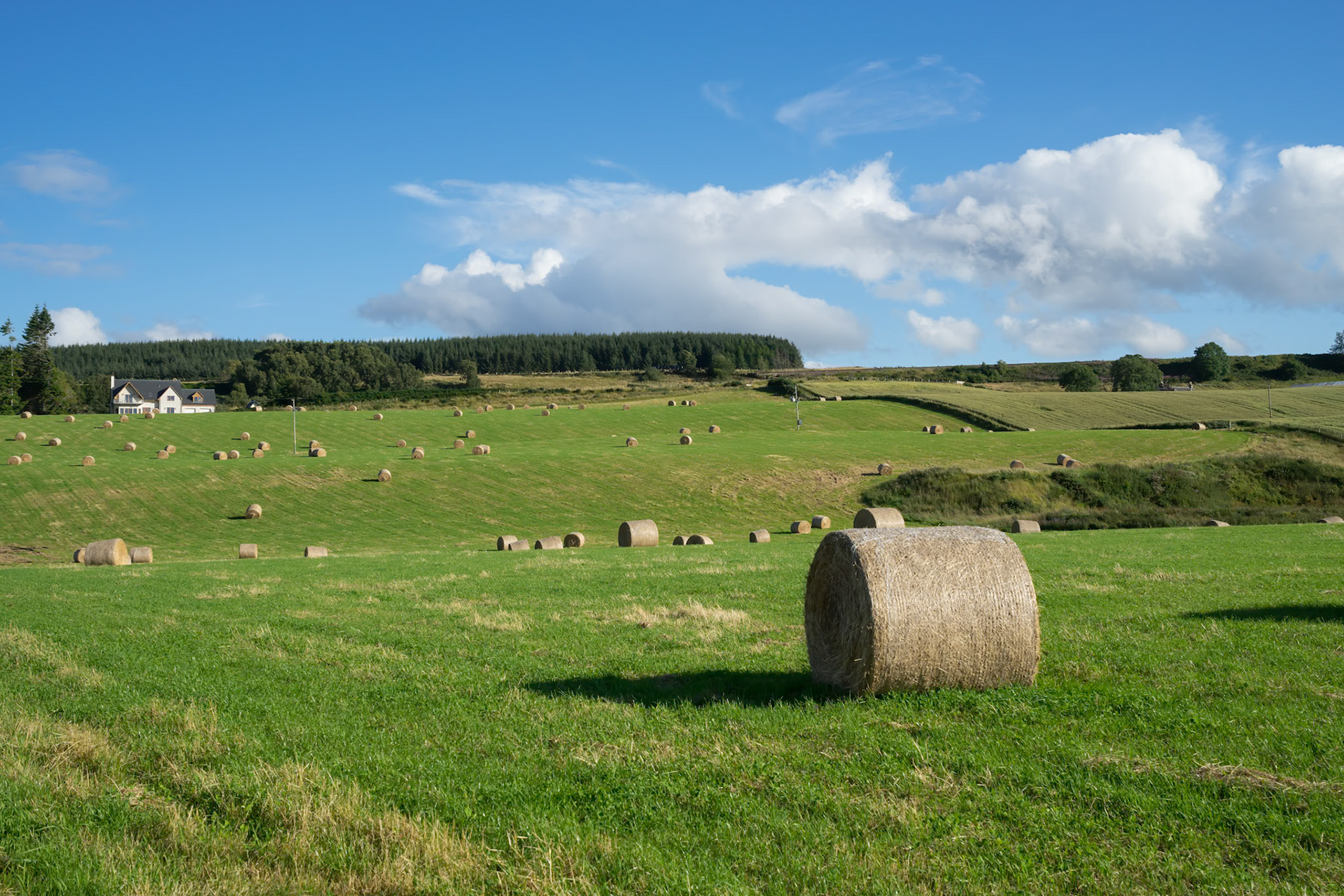 Farm near Culloden