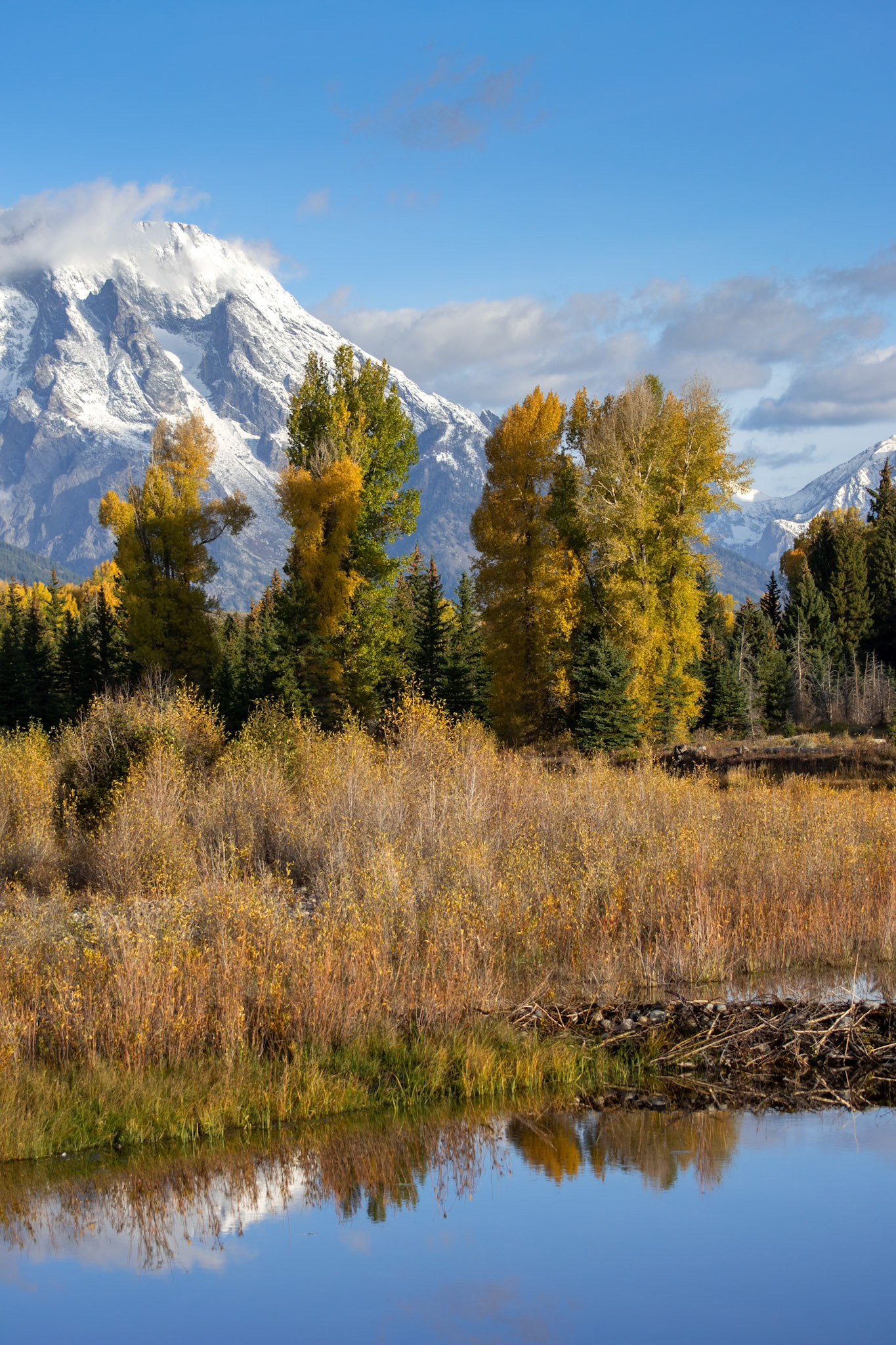 Beaver Dam near Schwabachers Landing