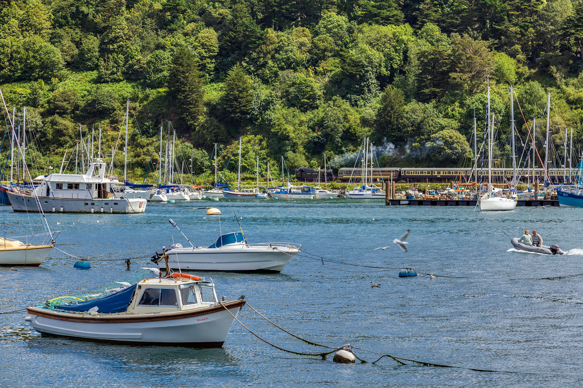 View across the River Dart towards Kingswear