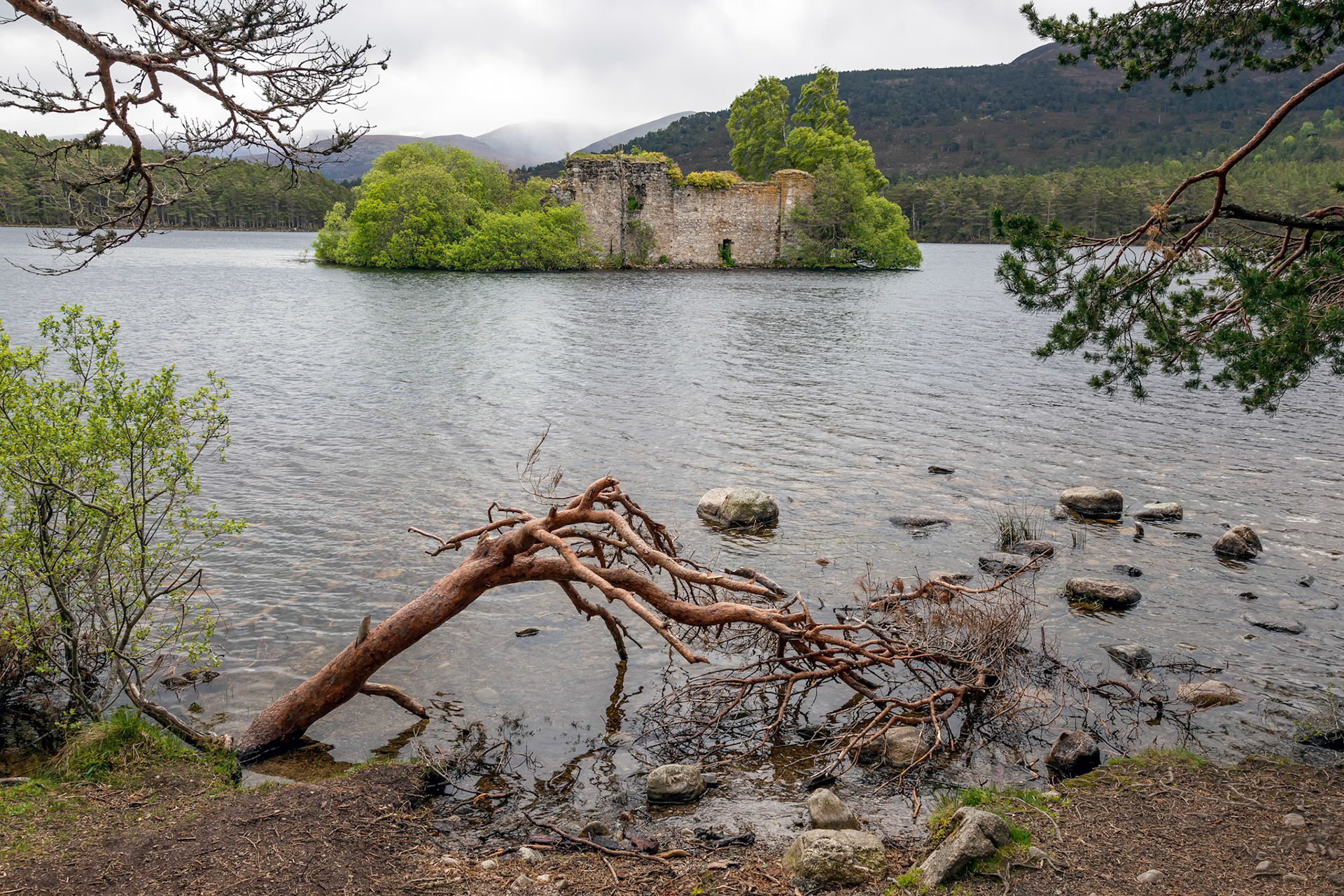 Castle in the Middle of Loch Eilein